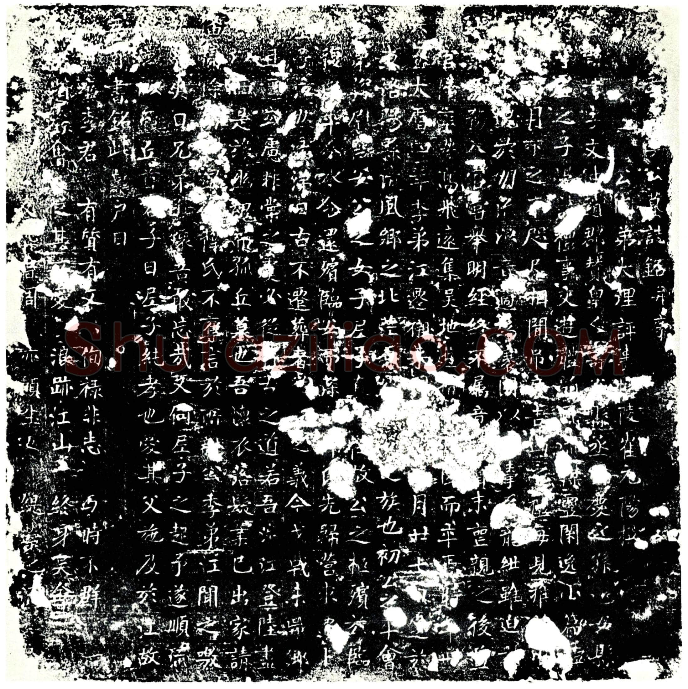 唐 李津 墓誌