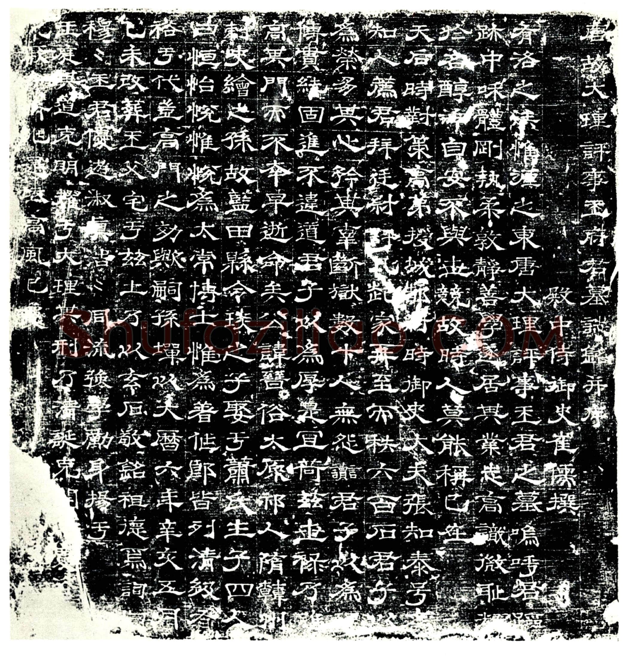 唐王晋俗墓誌