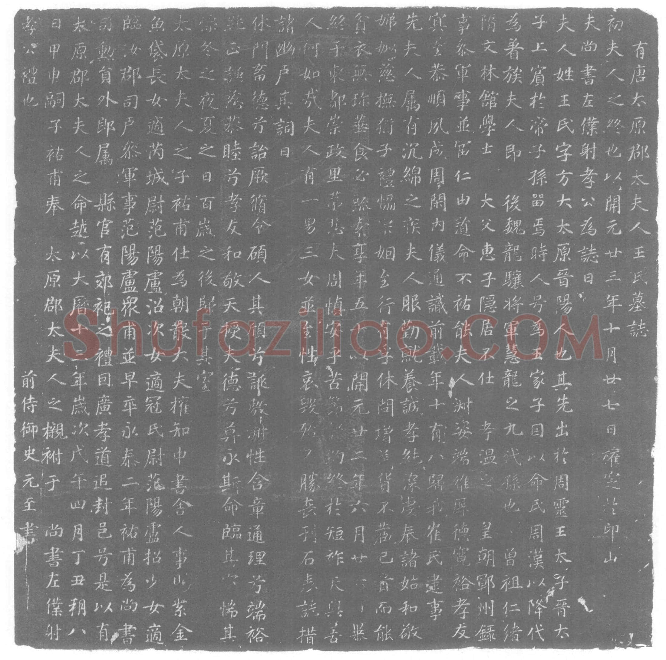 唐王方大，王氏墓誌