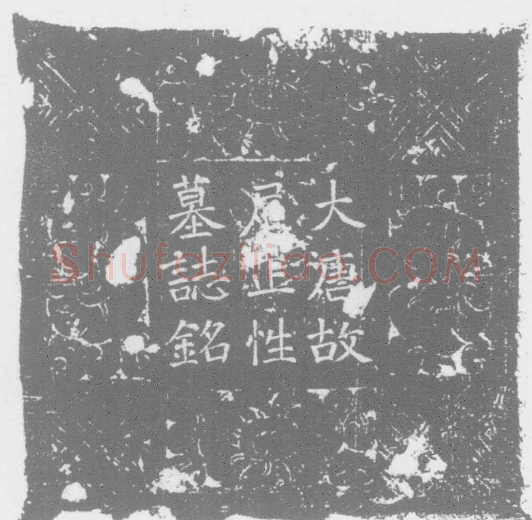 唐 裴氏 法界寺比丘尼正性 墓誌