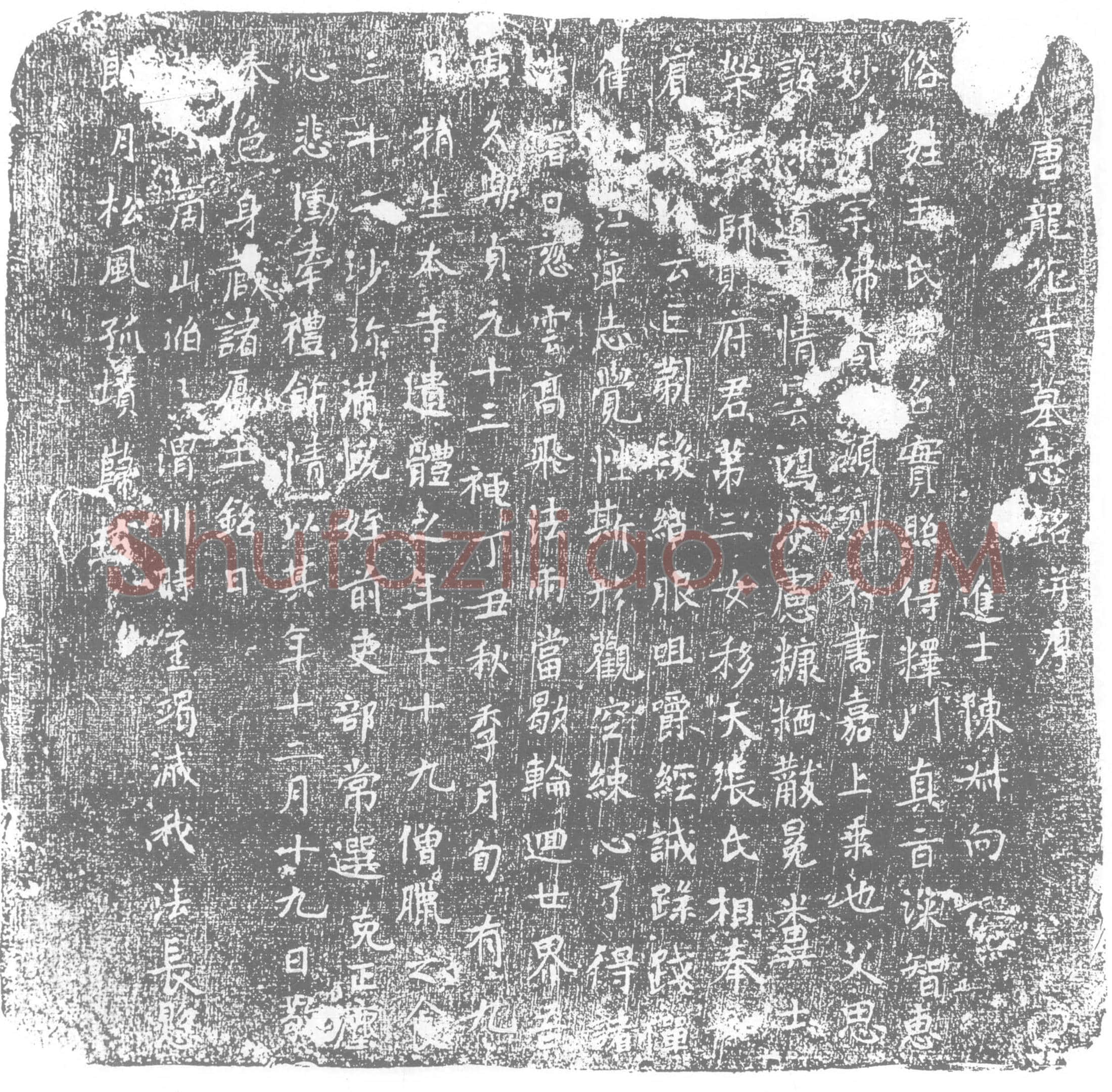 唐 王实照 墓誌
