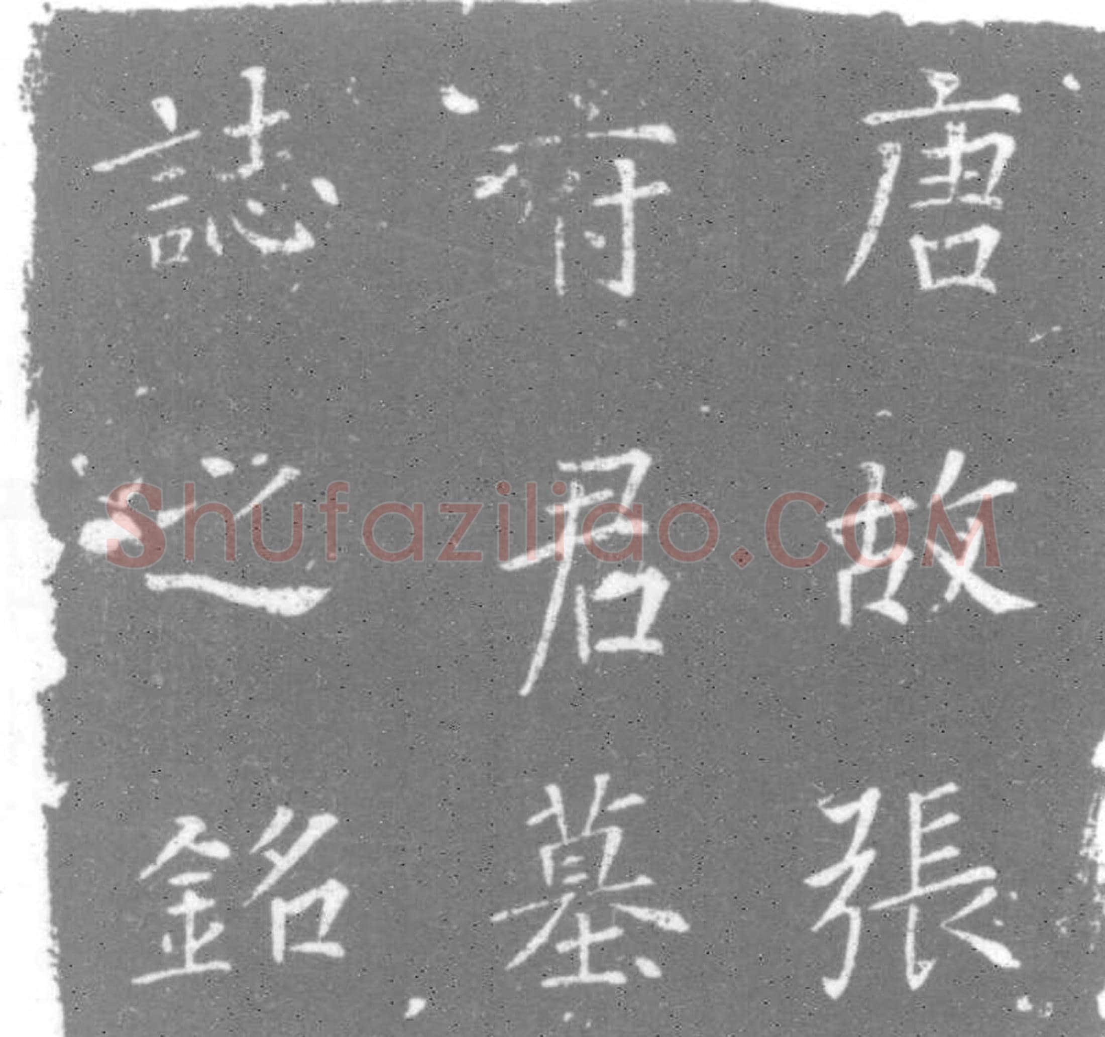 唐 张游艺及夫人傅氏 墓誌