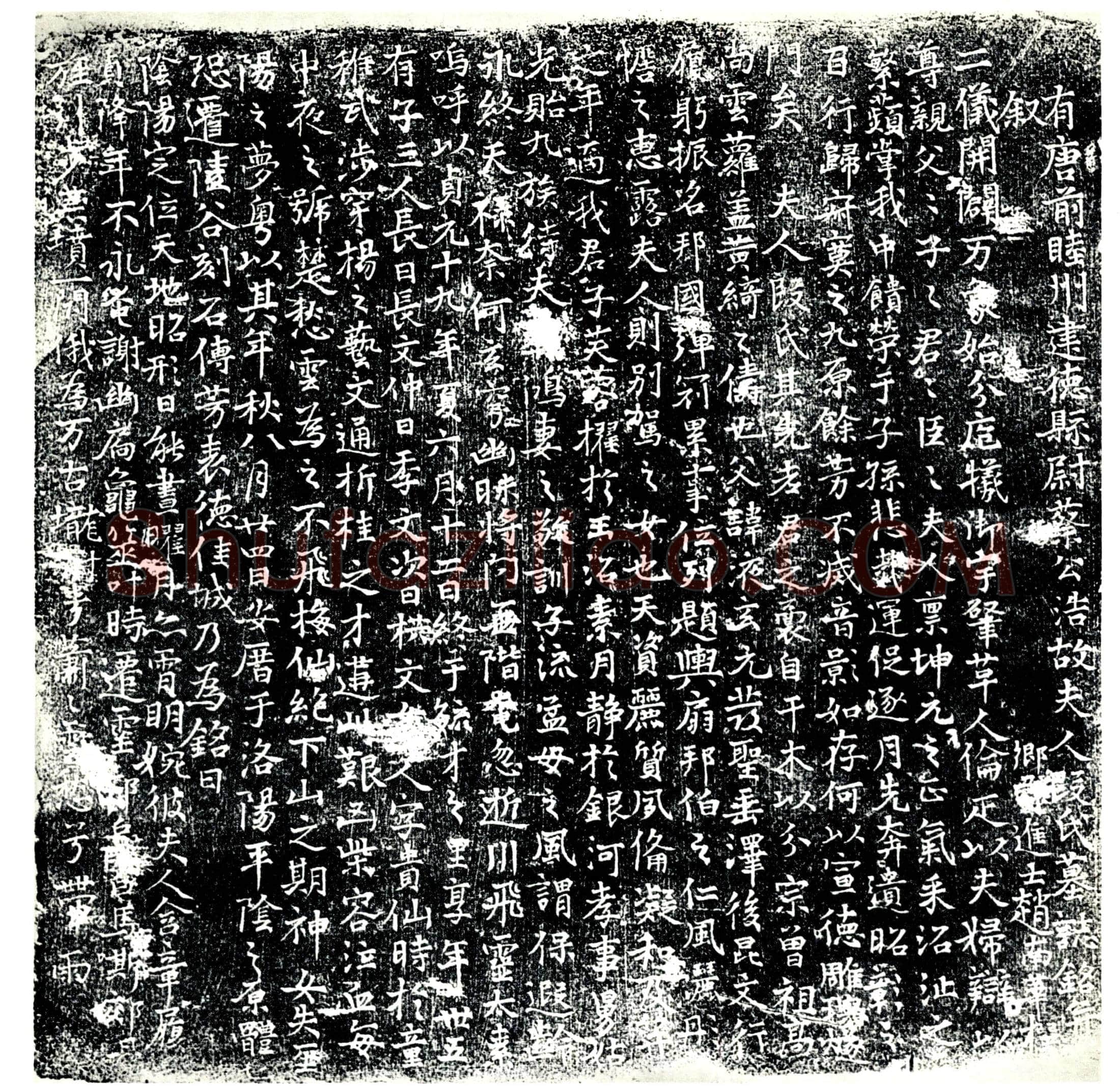唐 段氏 蔡公浩夫人 墓誌