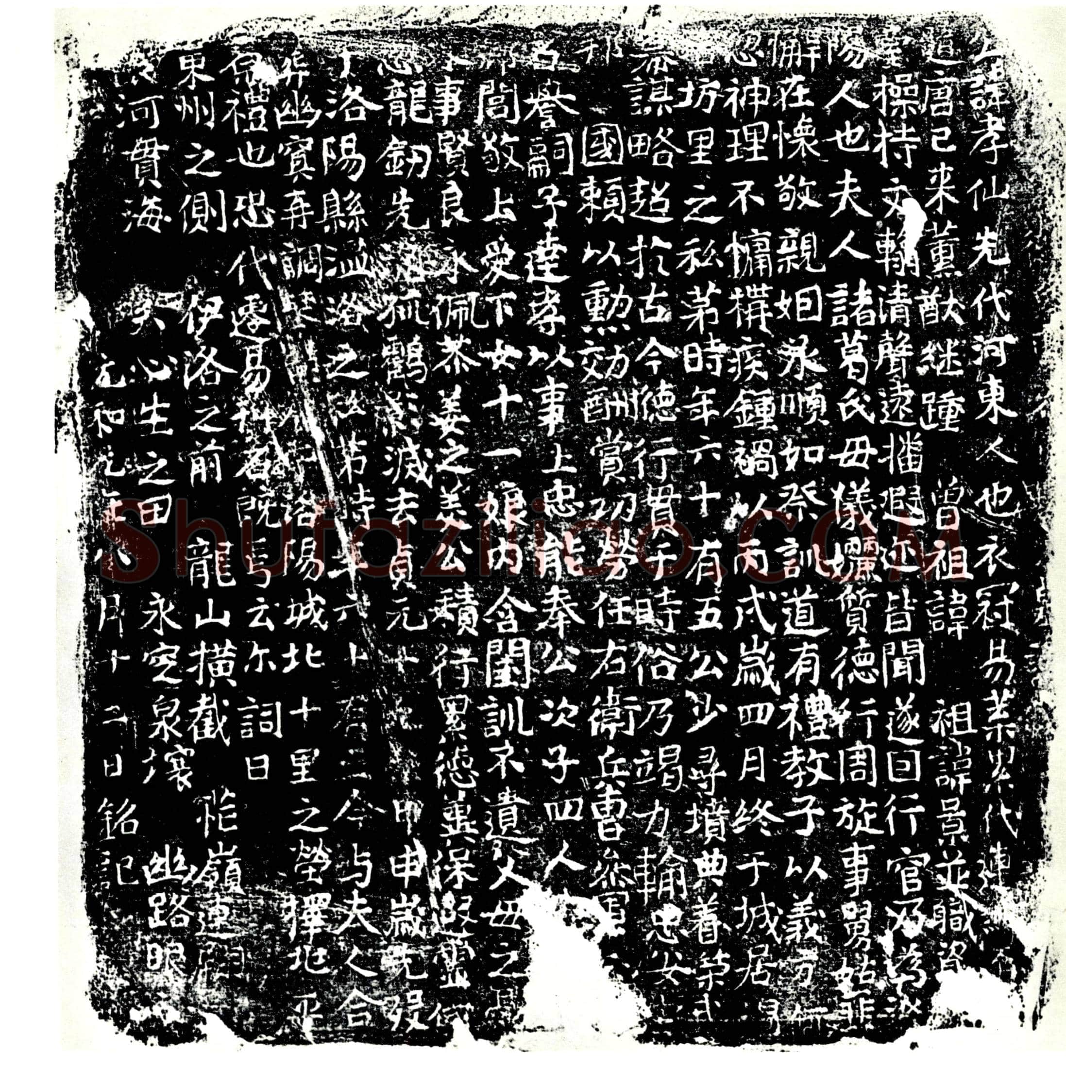 唐 裴孝仙及夫人诸葛氏 墓誌