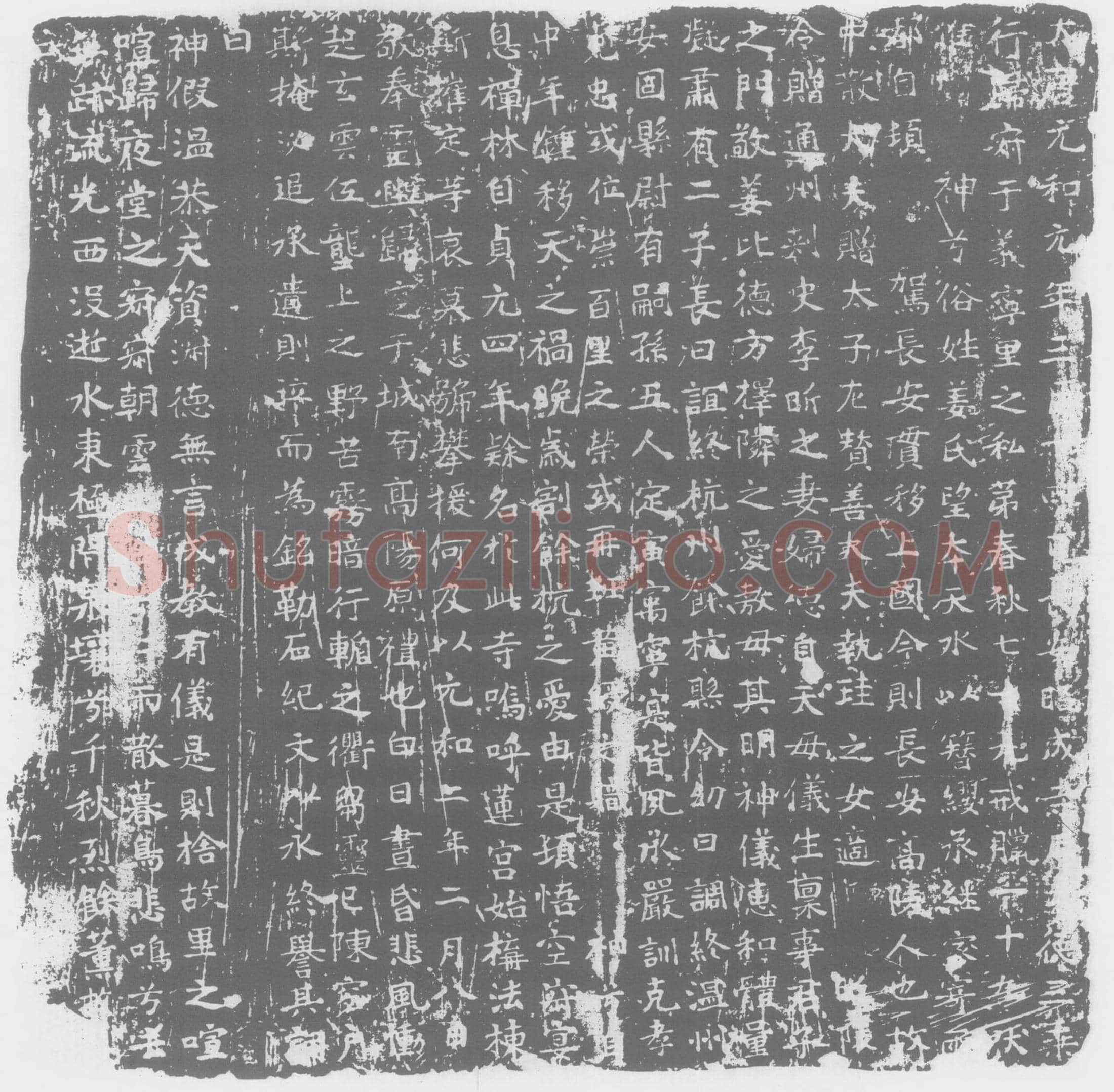 唐 昭成寺尼大德三乘 姜氏 墓誌