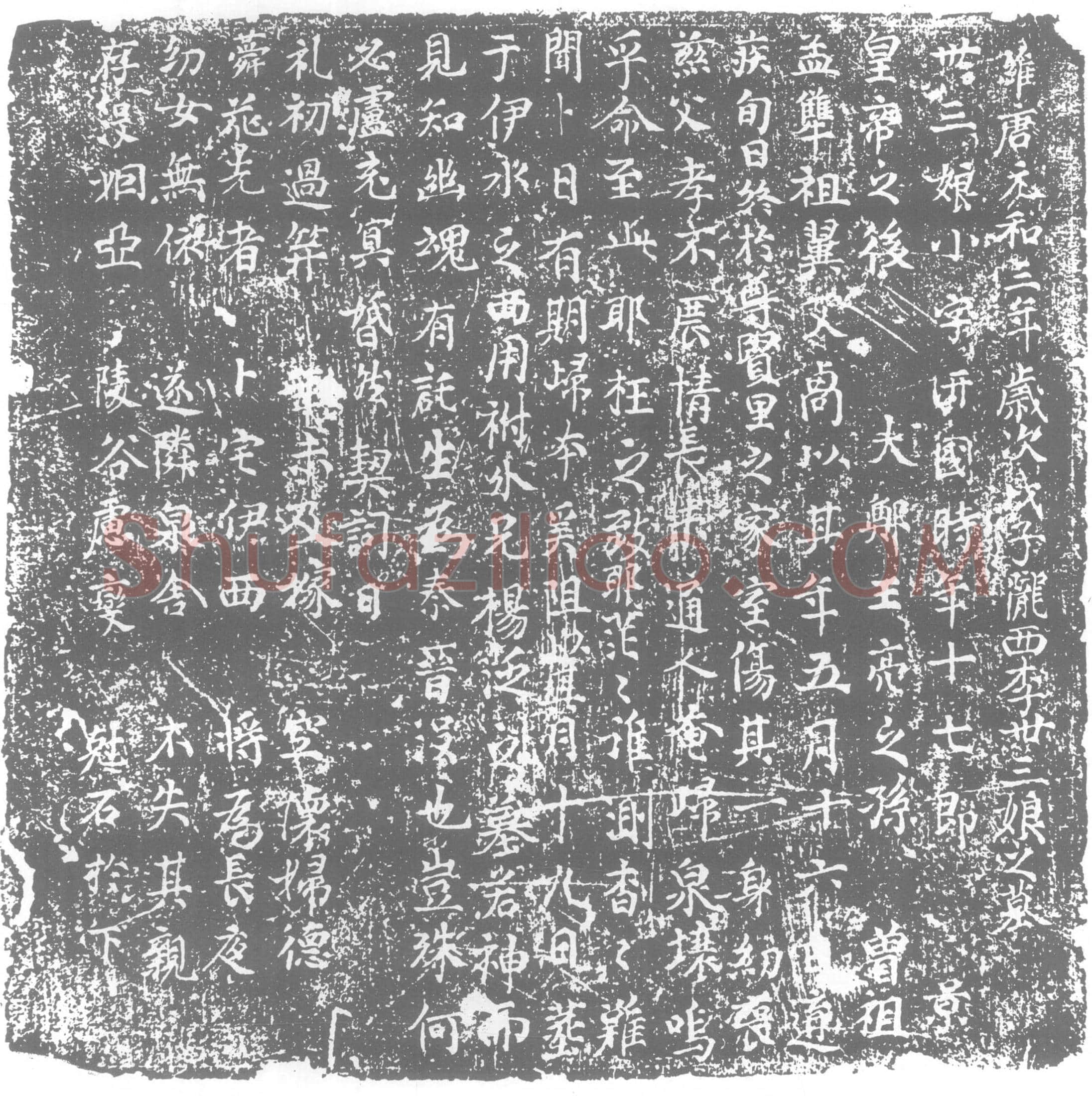 唐 李卅三娘 字汧国 墓誌