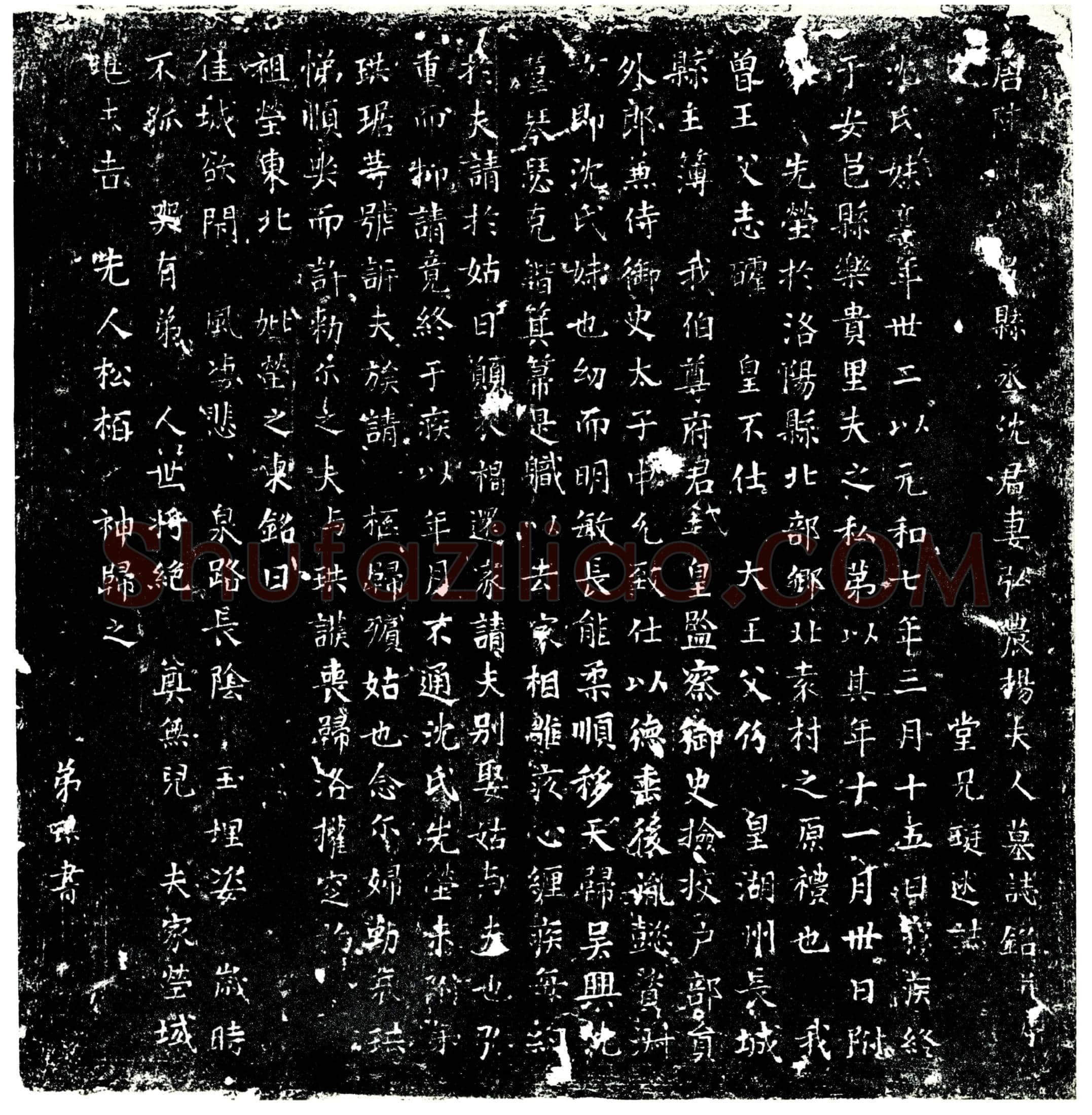 唐 杨氏 墓誌