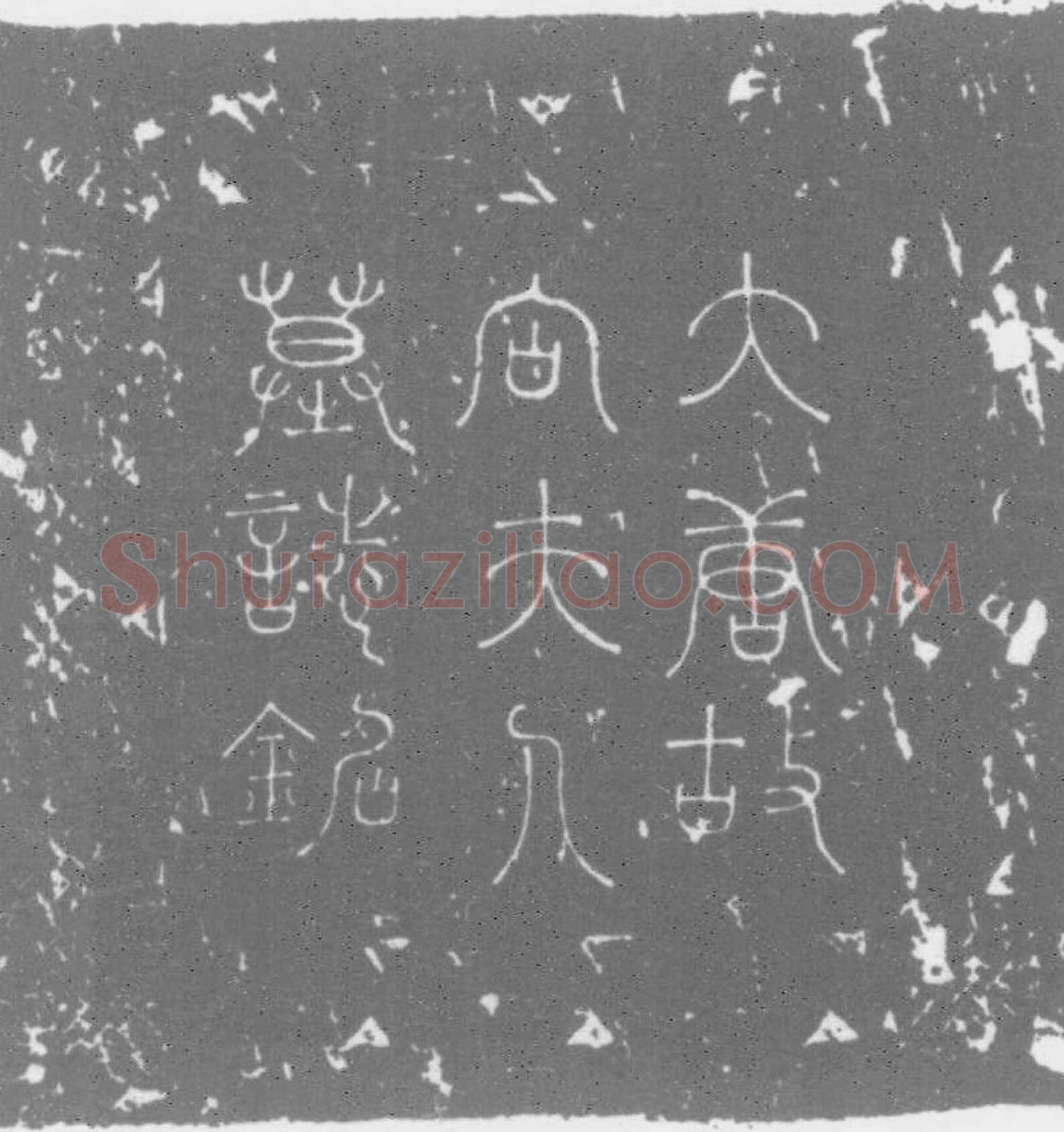 唐 向氏 墓誌