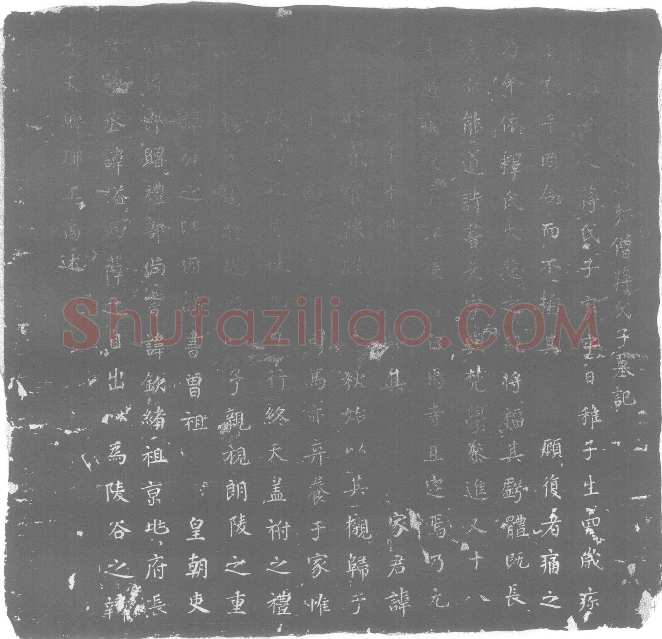 唐 蒋氏 蒋郕之子 墓誌