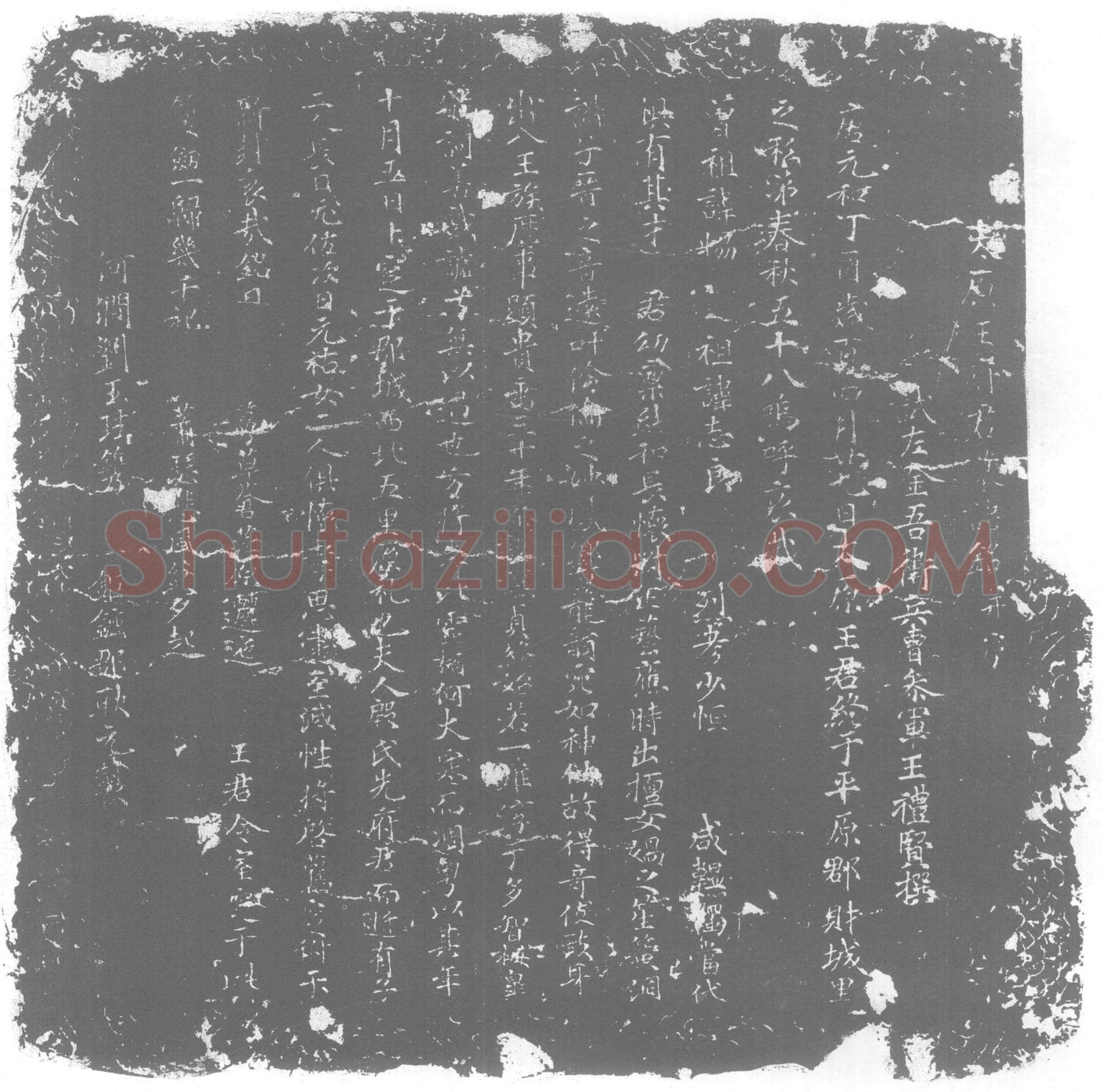 唐王□，王志良之孙墓誌