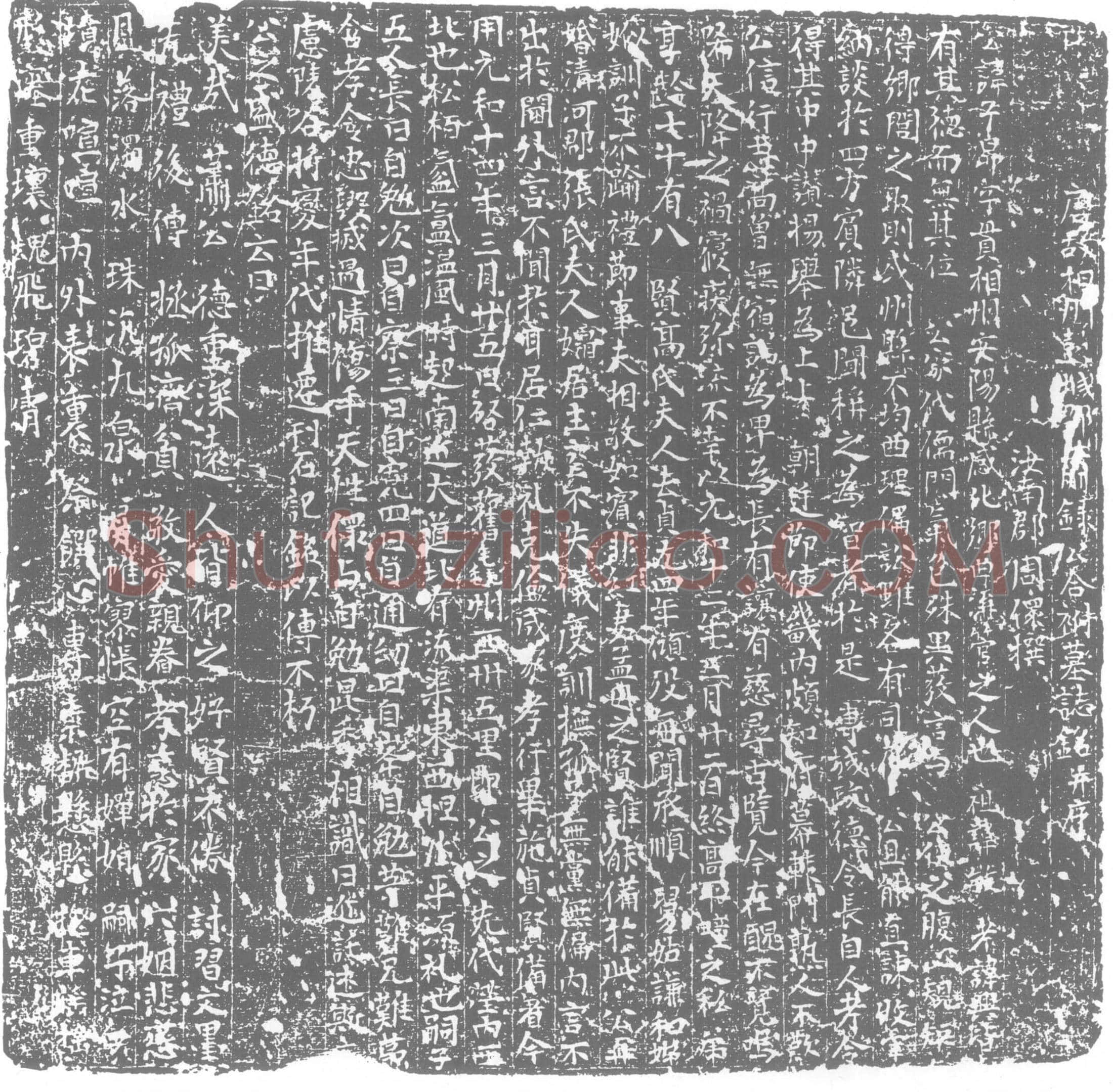 唐 萧子昂 墓誌