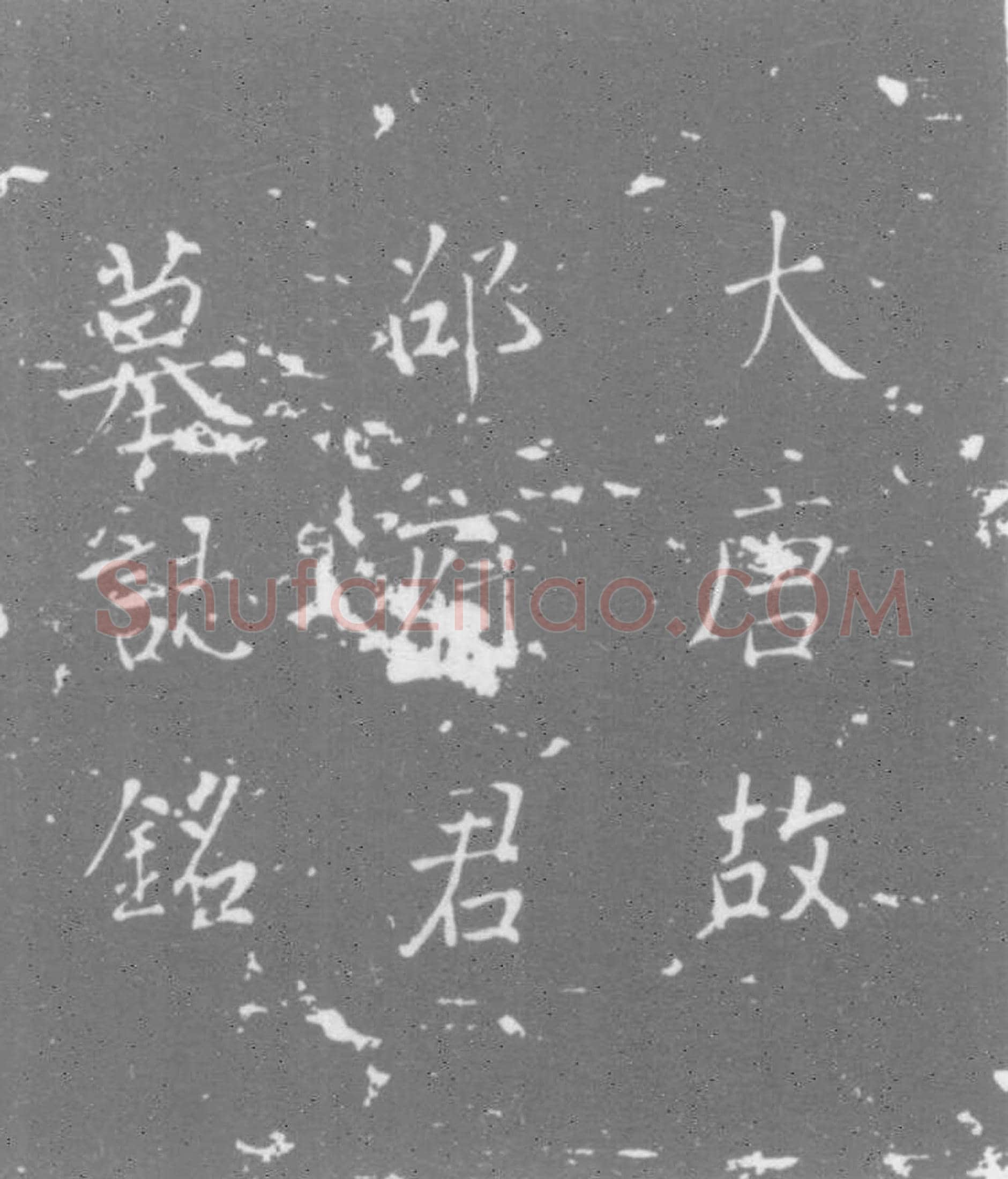 唐 邵才志 墓誌