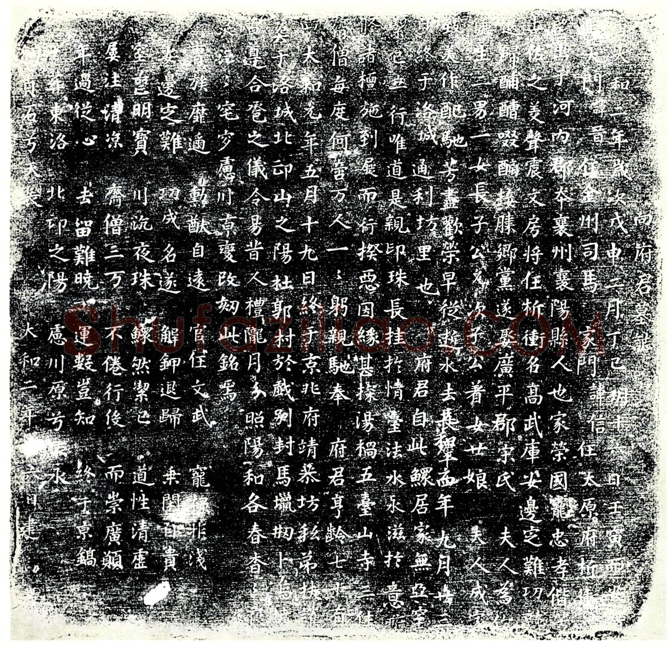 唐 向□ 墓誌