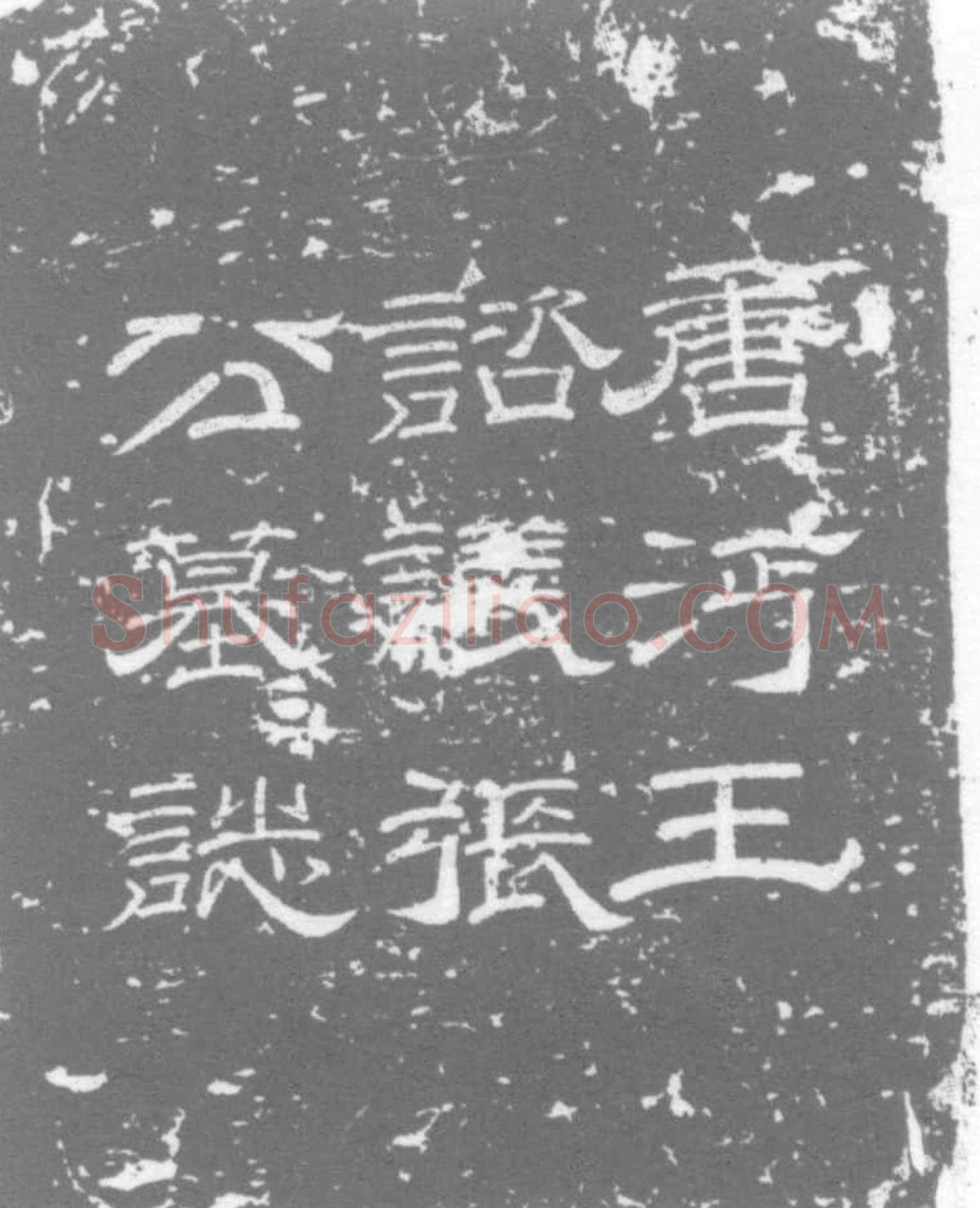 唐 张侔 墓誌