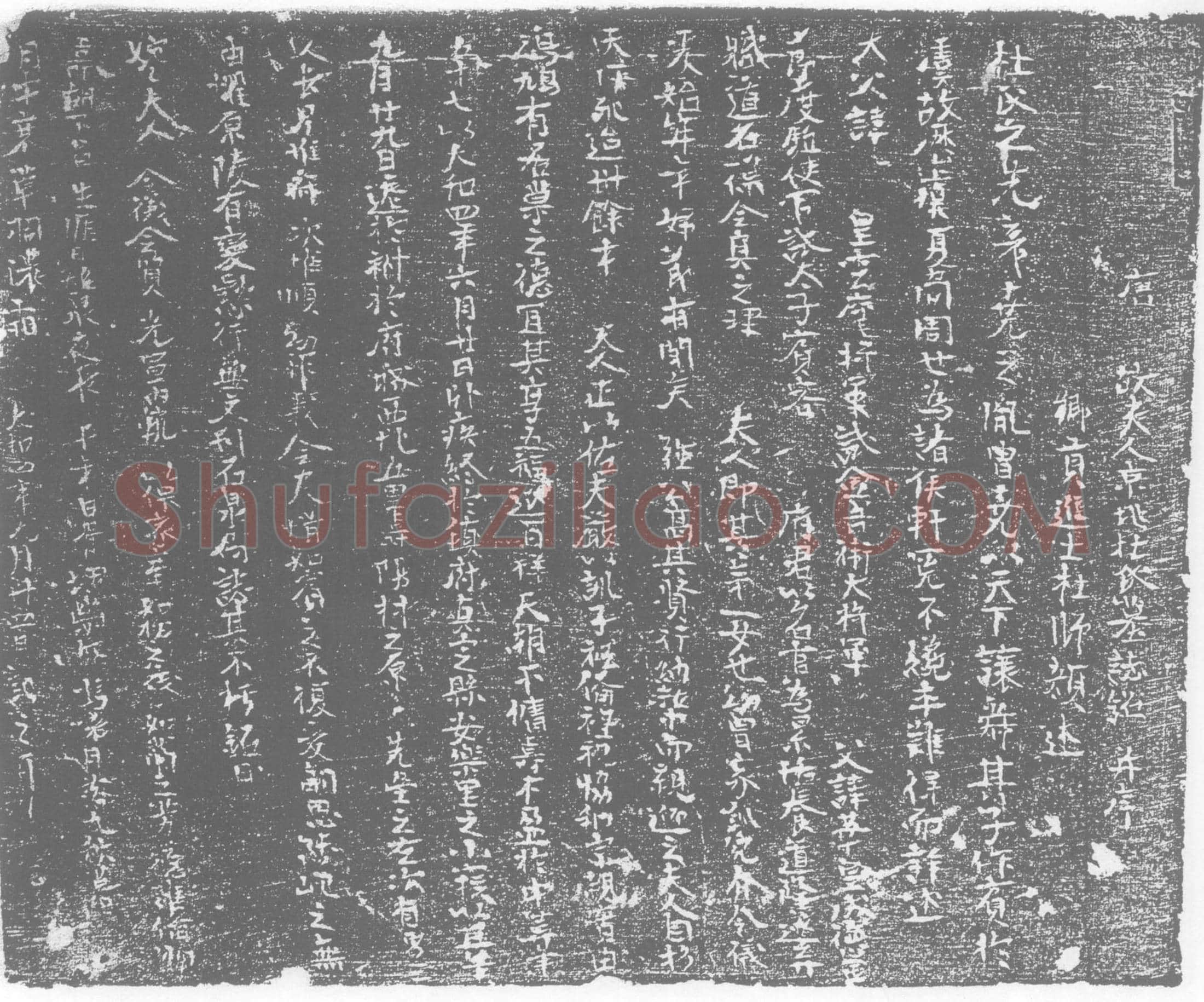 唐 杜氏 杜华女儿 墓誌