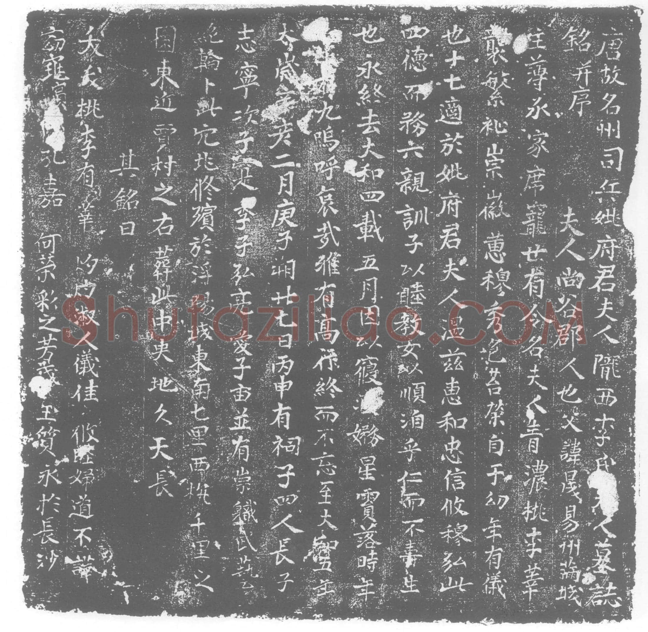 唐 李氏 李晟女儿 墓誌