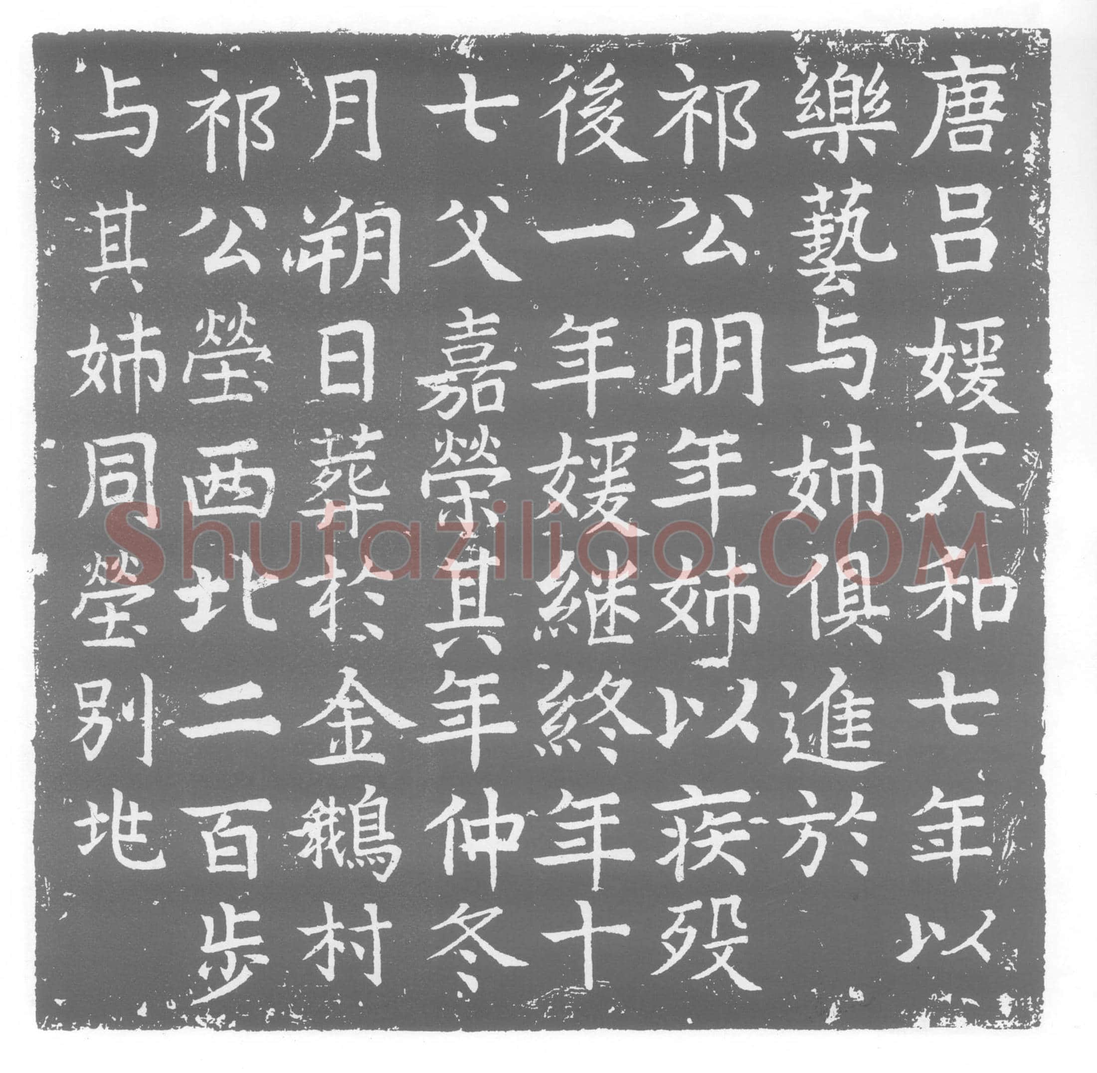 唐 唐吕媛及其姊 墓誌