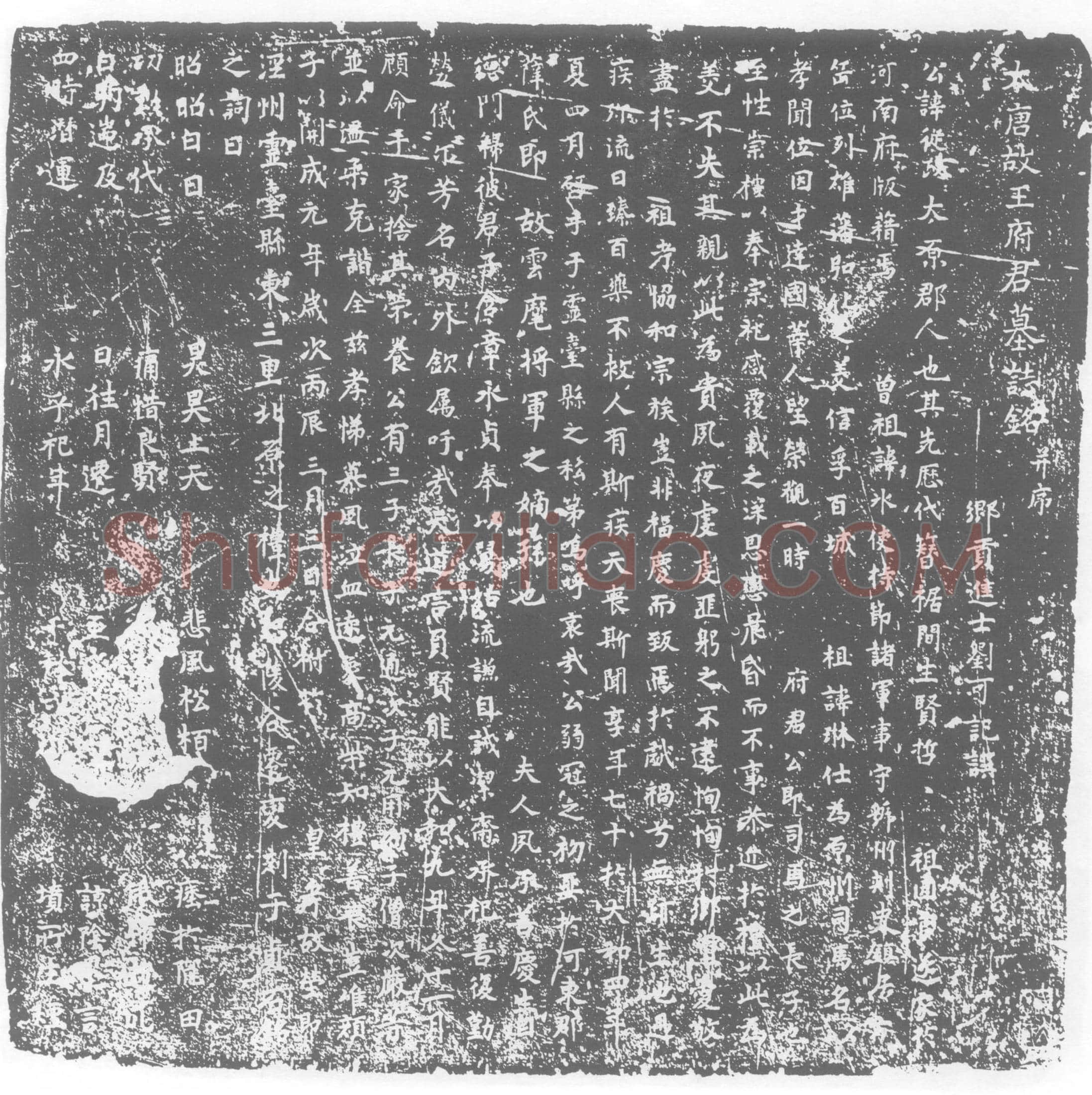 唐王从政墓誌