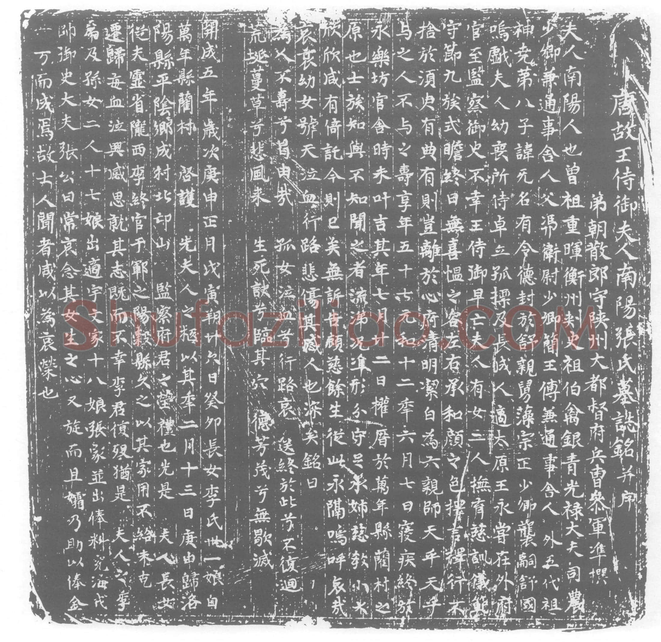 唐 张氏 墓誌 图像碑