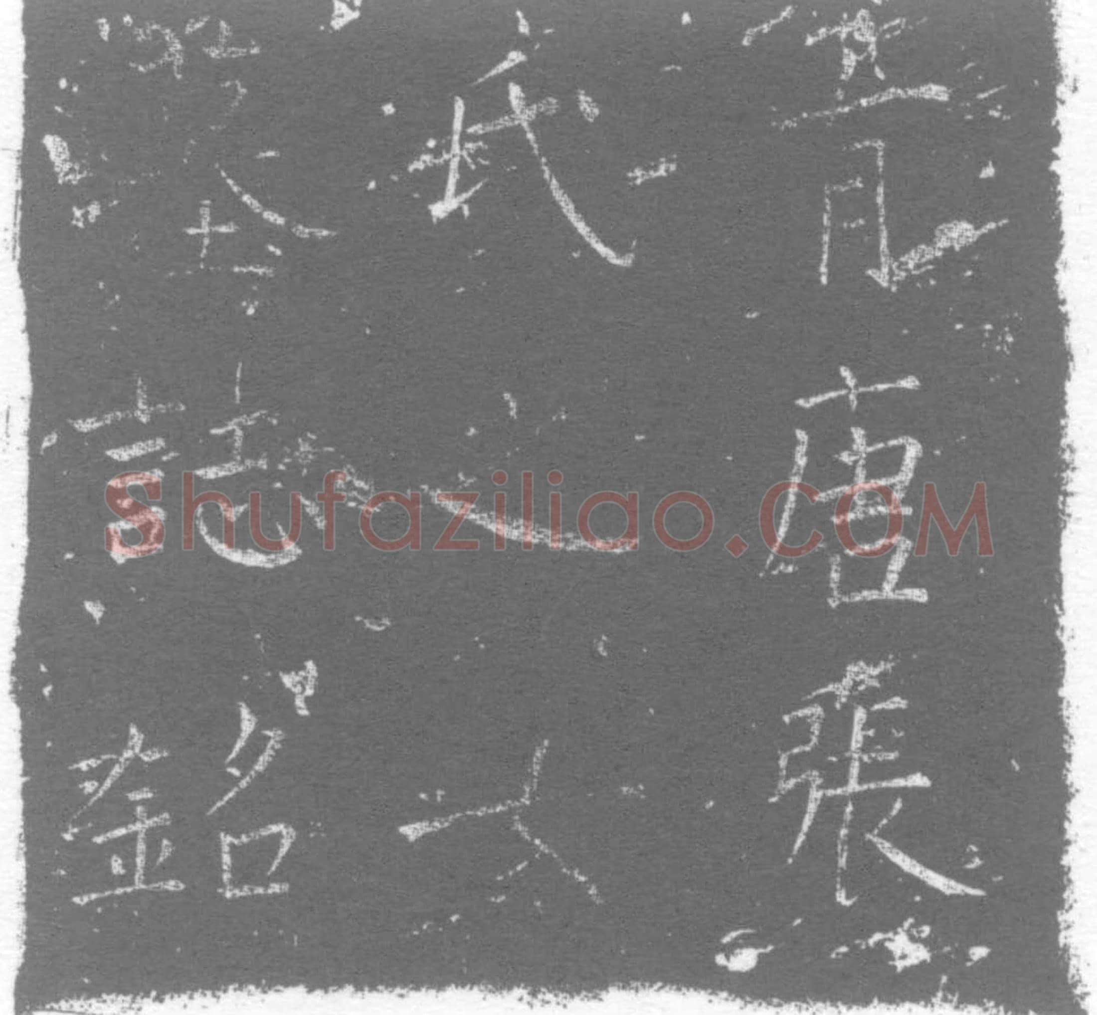 唐 张婵 墓誌