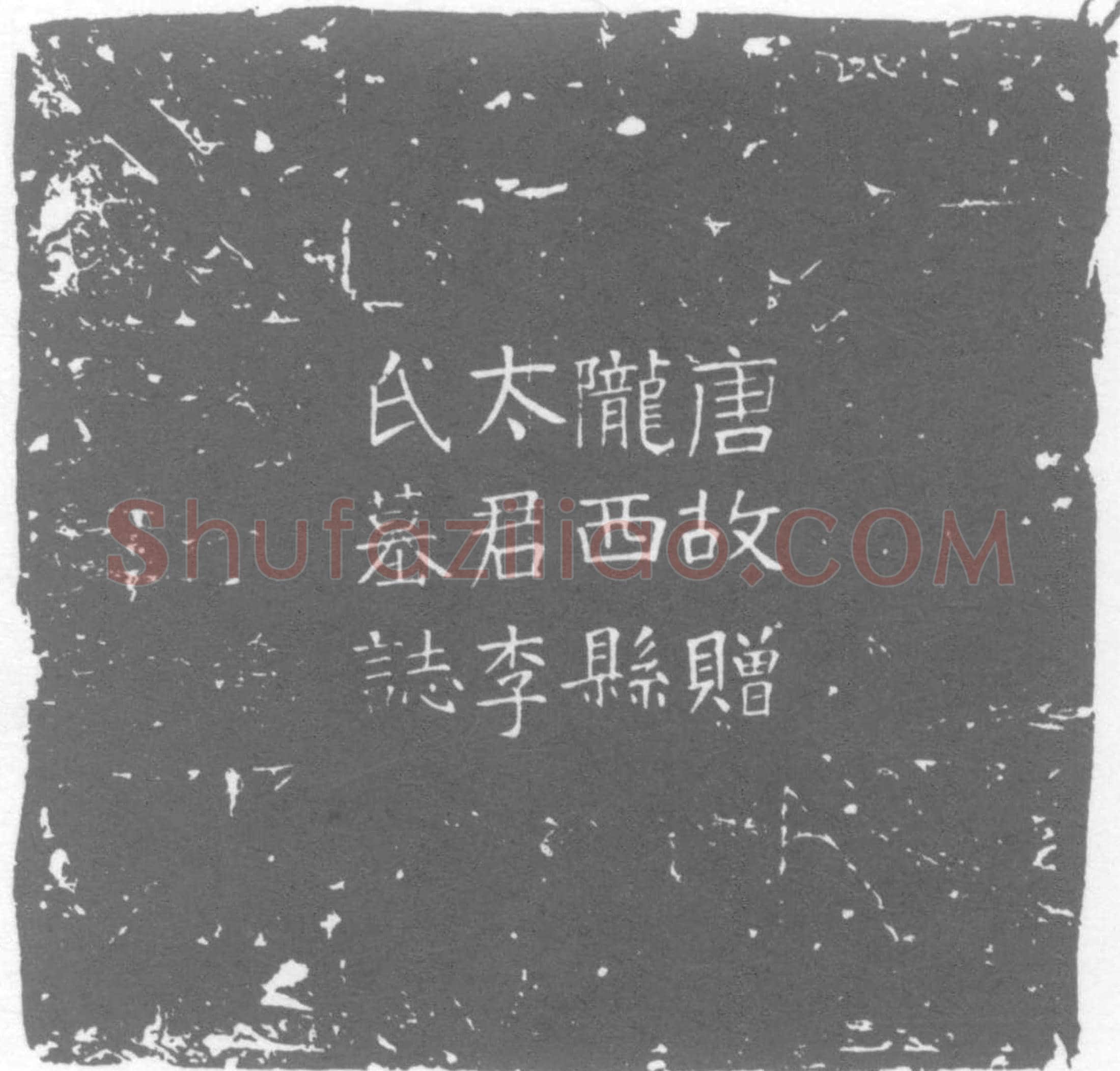 唐 李氏 李皓女儿 墓誌