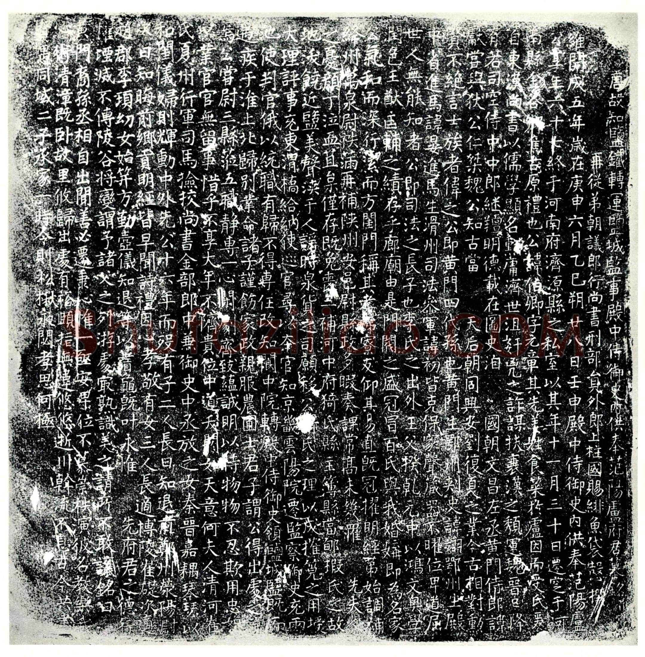 唐 卢伯卿 墓誌