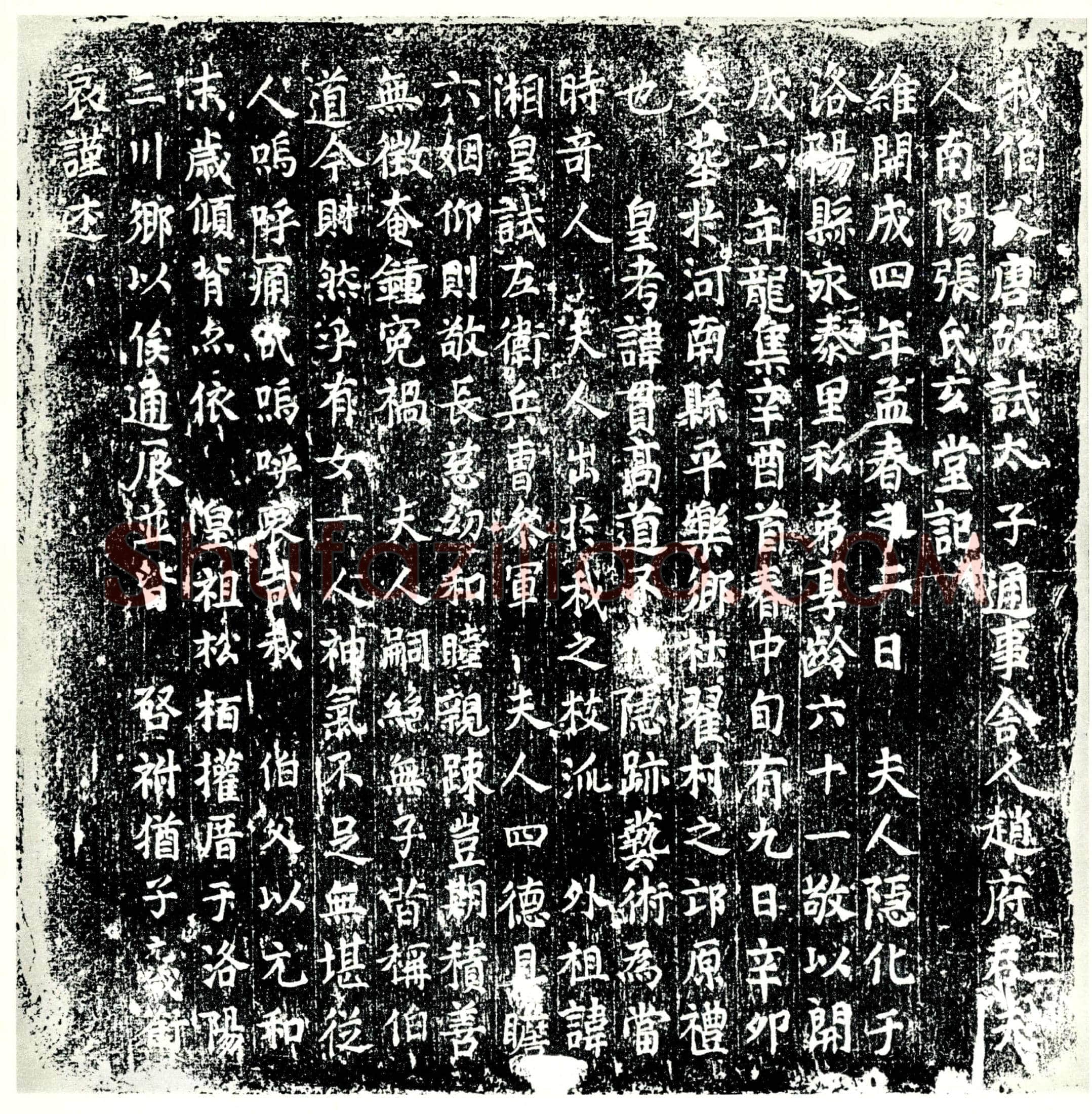 唐 张氏 墓誌