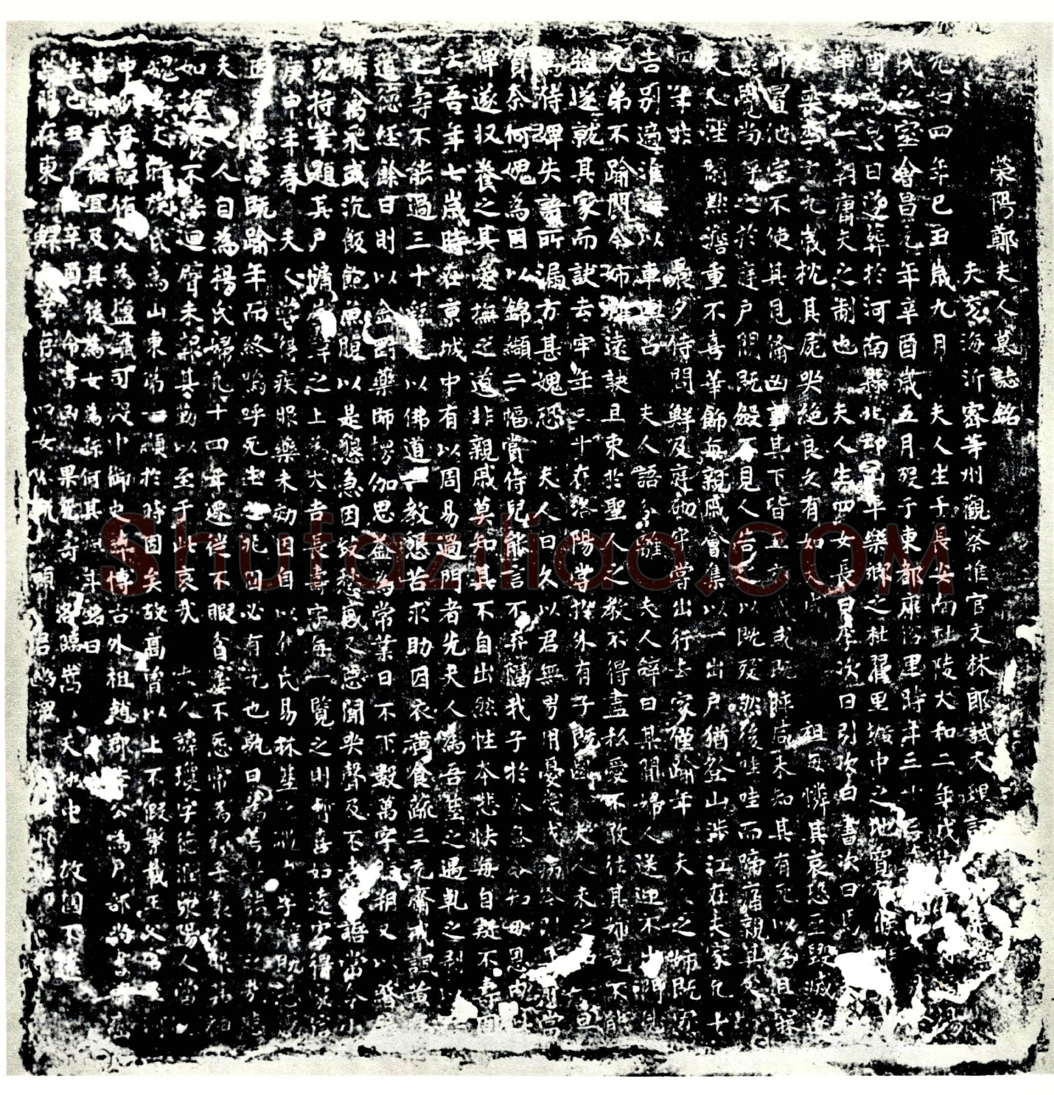 唐杨琼，郑夫人墓誌