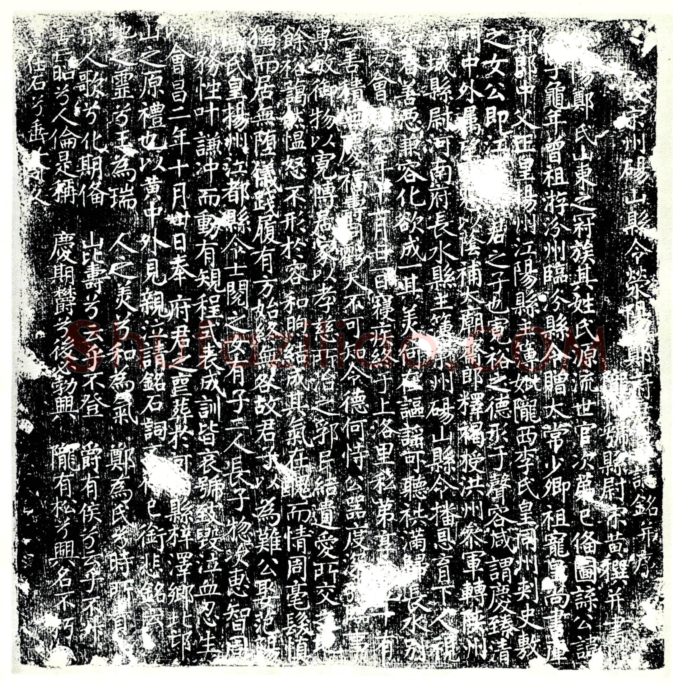 唐 郑纪 墓誌