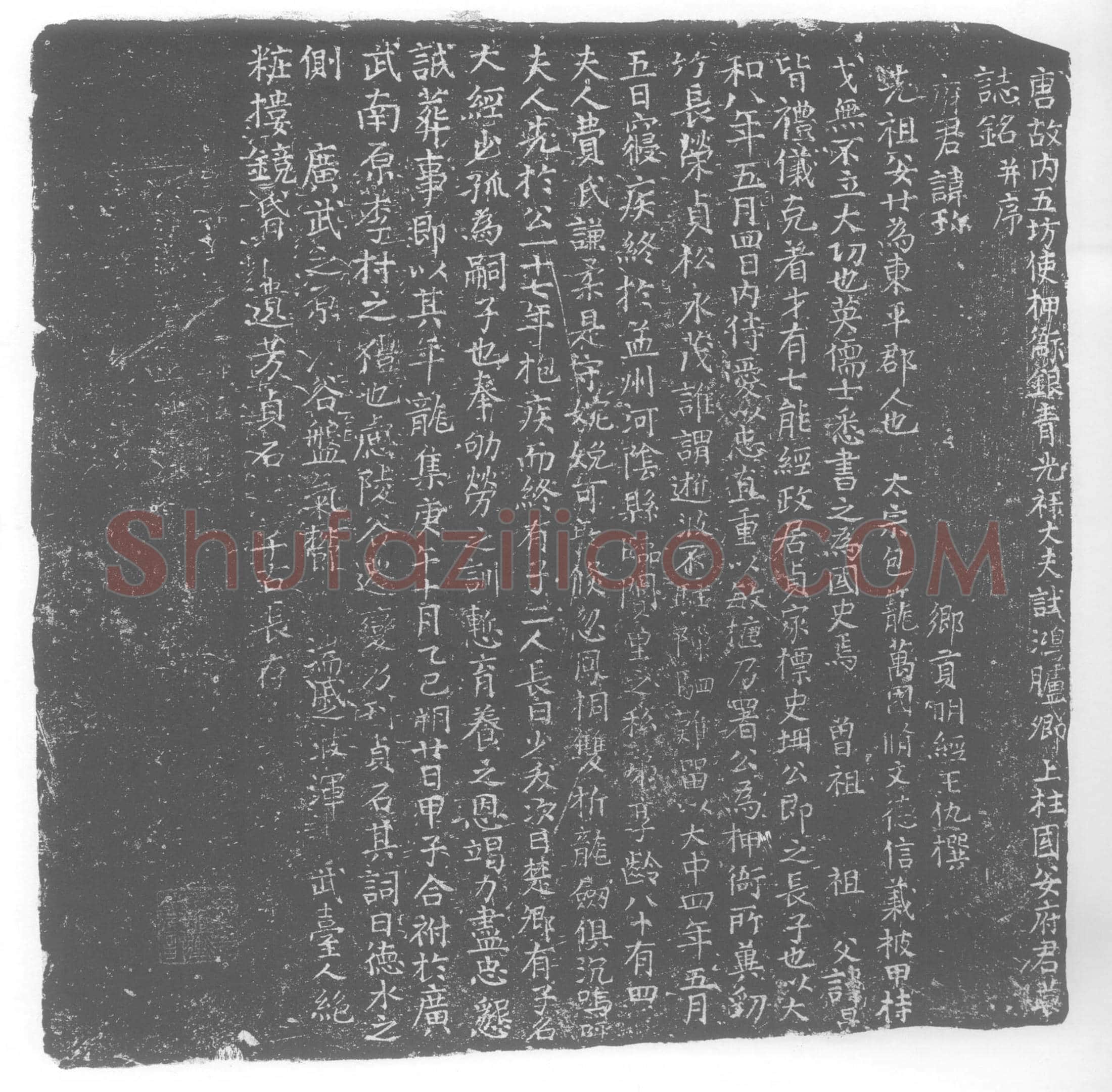唐安珍及夫人费氏墓誌