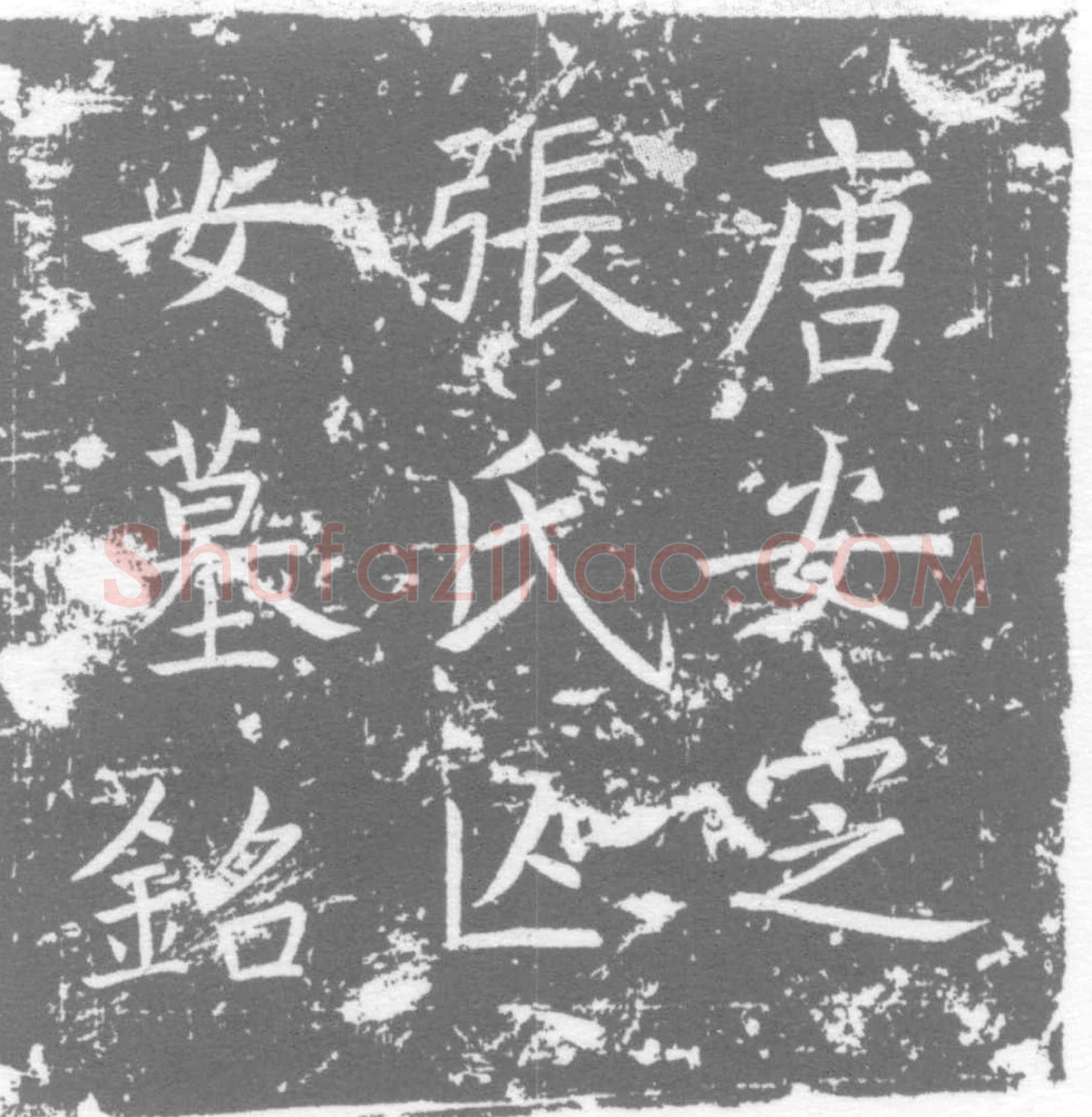 唐 张氏 墓誌