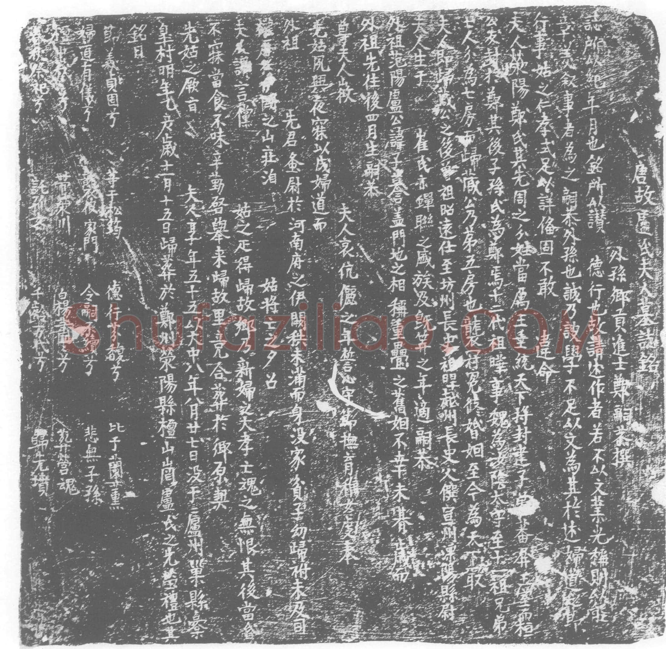 唐 郑氏 卢子謩夫人 墓誌