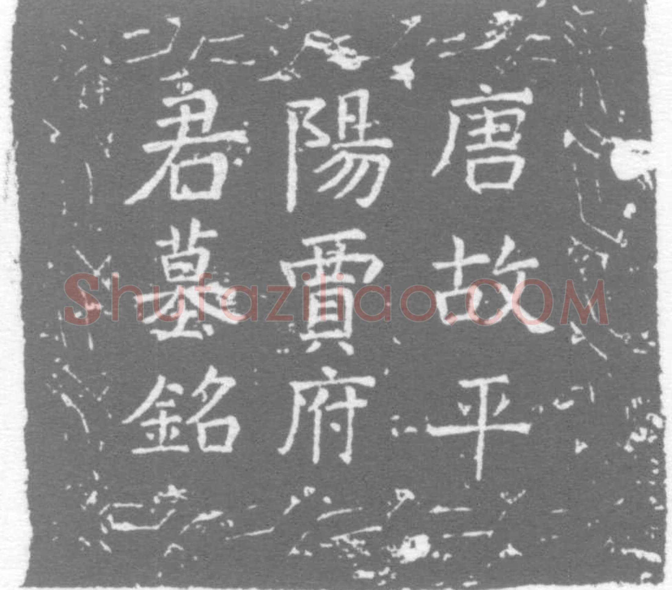唐贾从贽墓誌