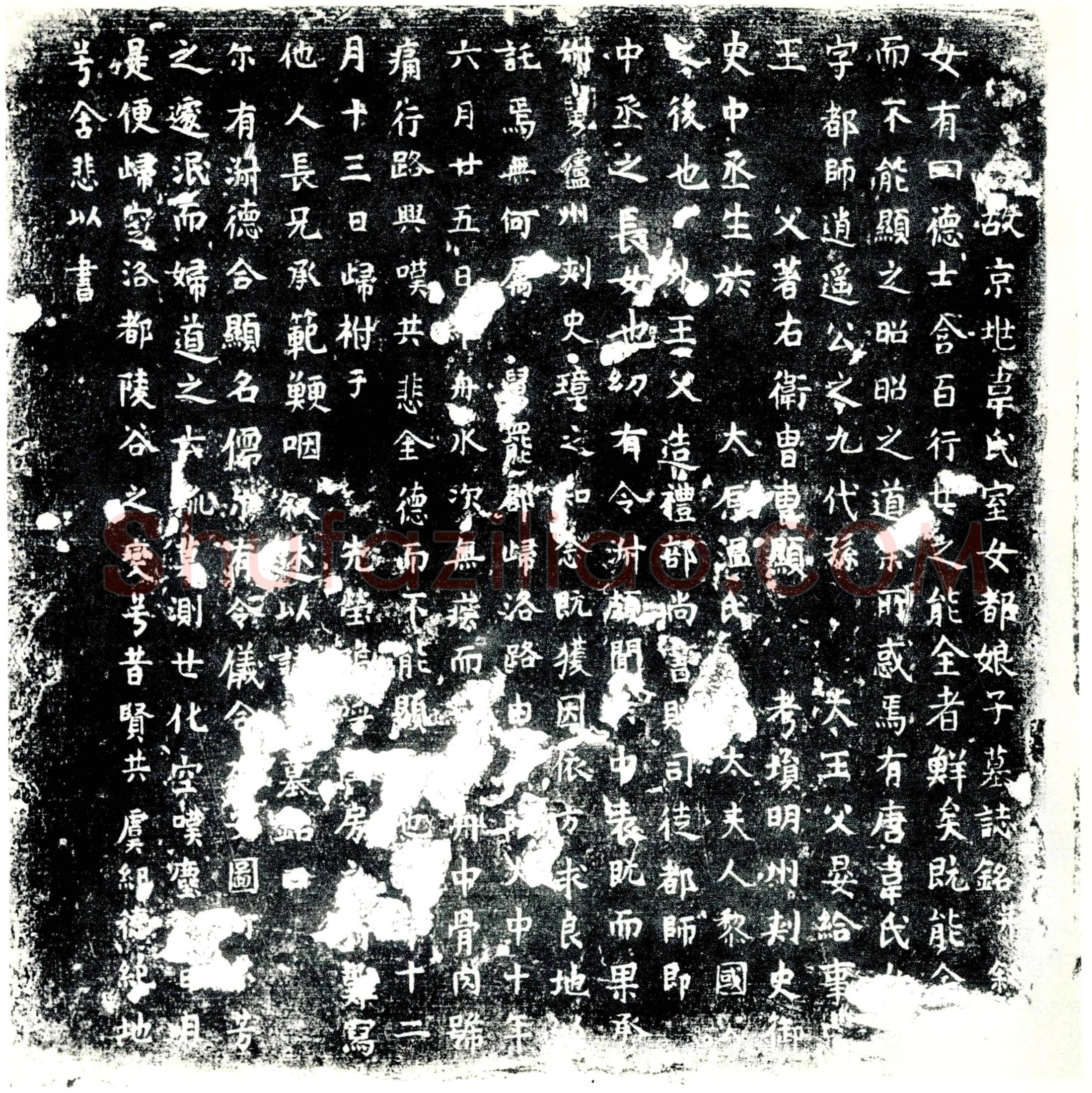 唐 韦氏 墓誌