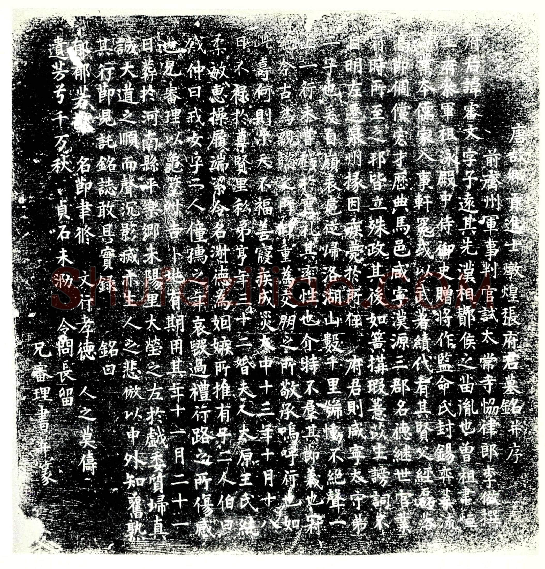 唐 张审文 墓誌