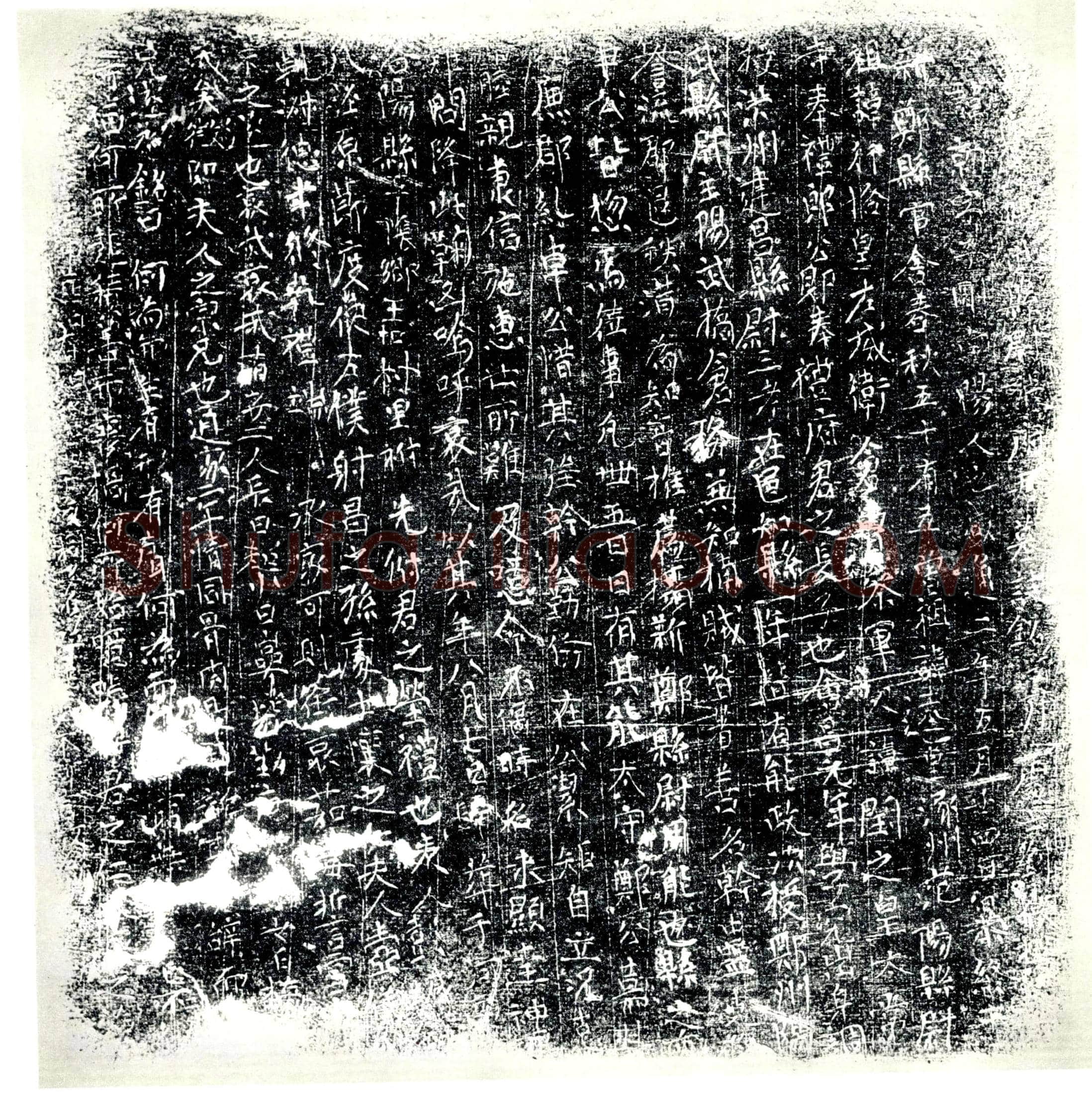 唐 张勍 张闰之儿子 墓誌