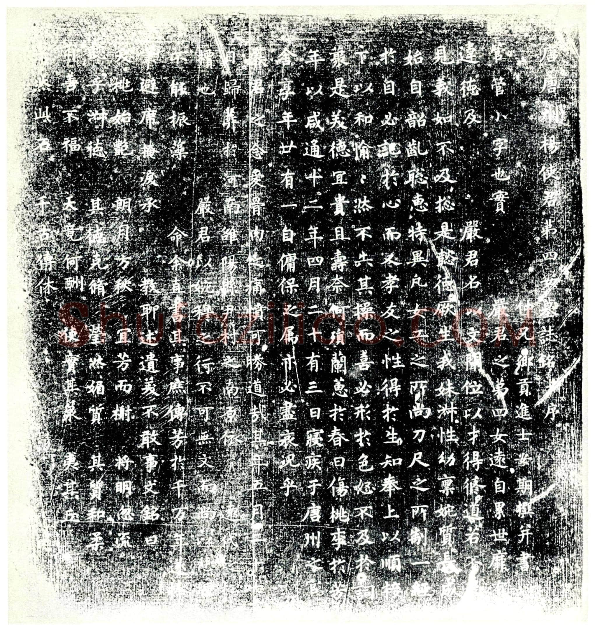 唐 杨氏 墓誌