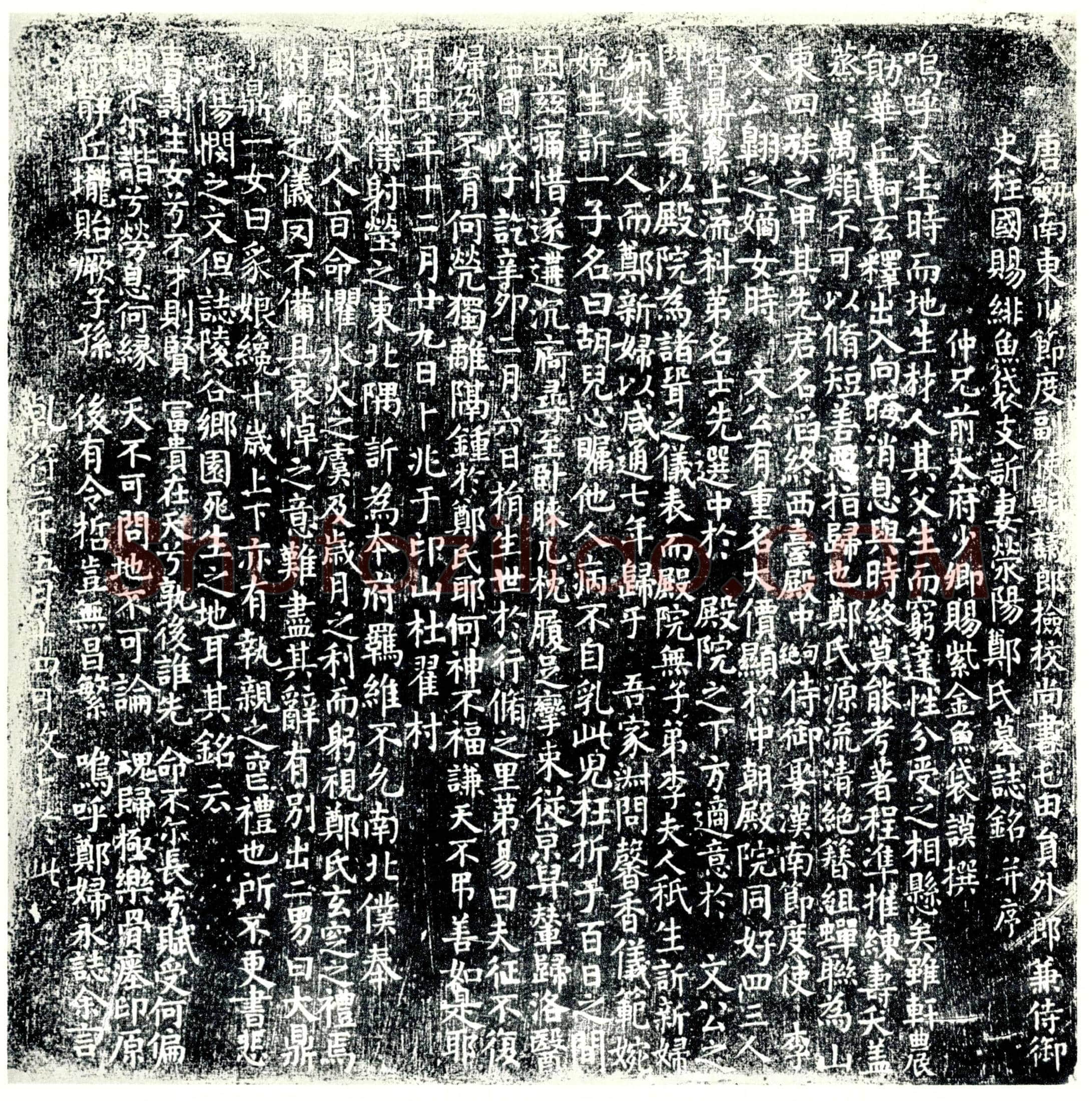 唐 郑滔 墓誌