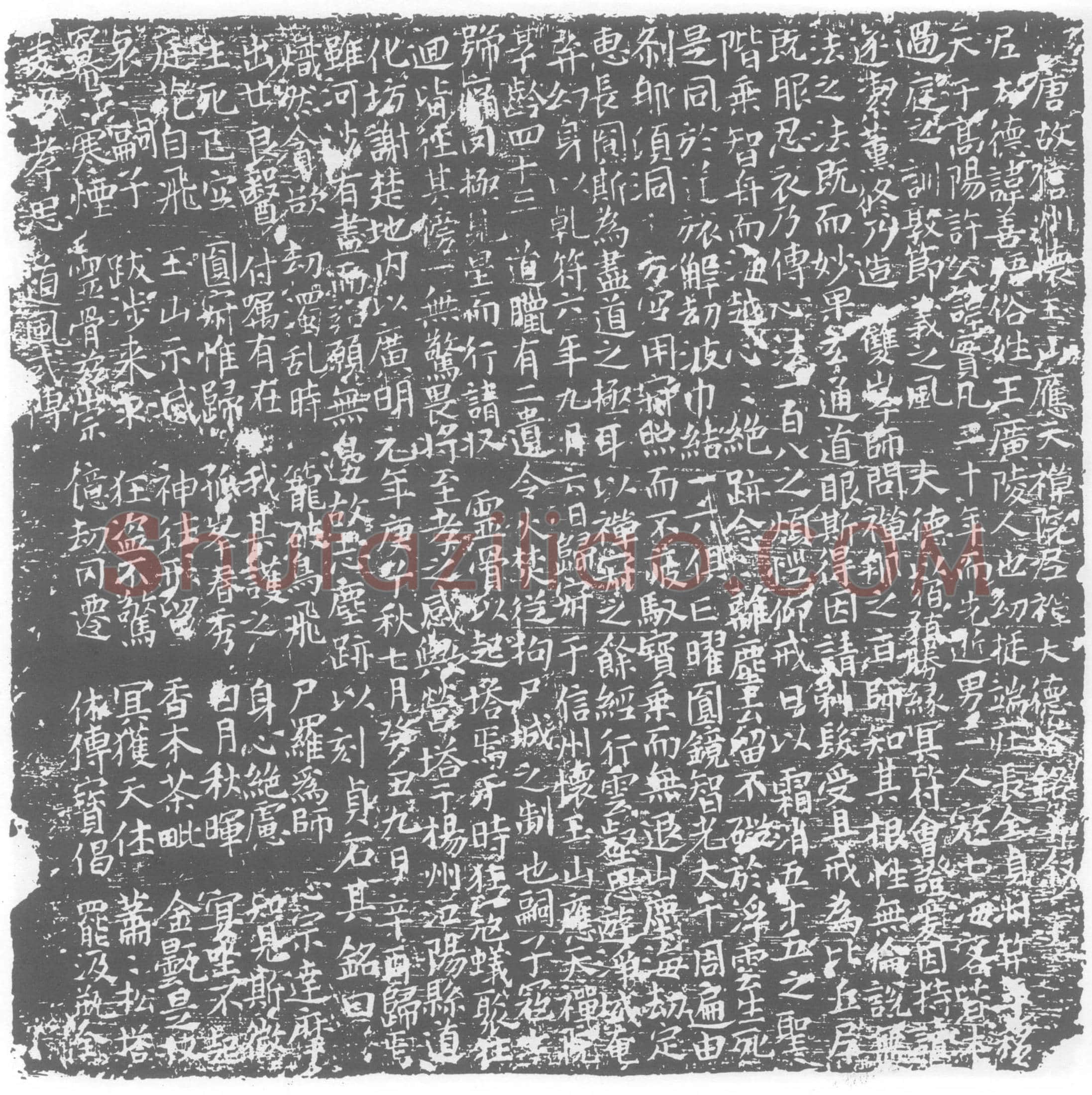 唐王善悟，应天禅院尼禅大德墓誌
