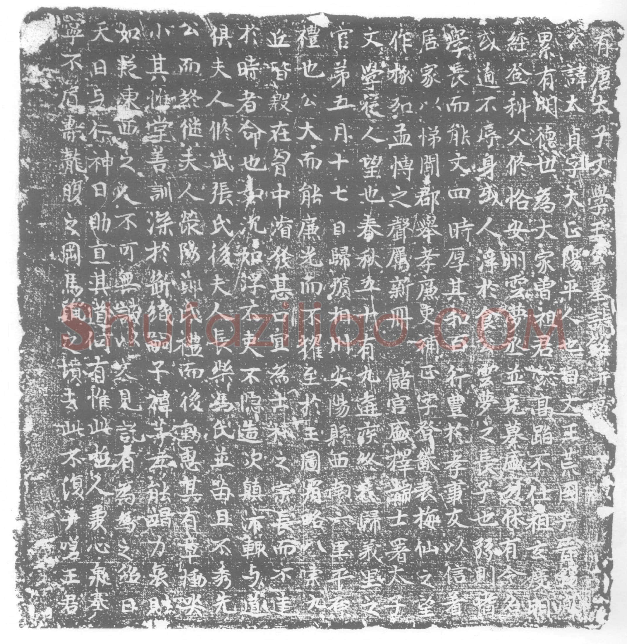 唐王太贞墓誌