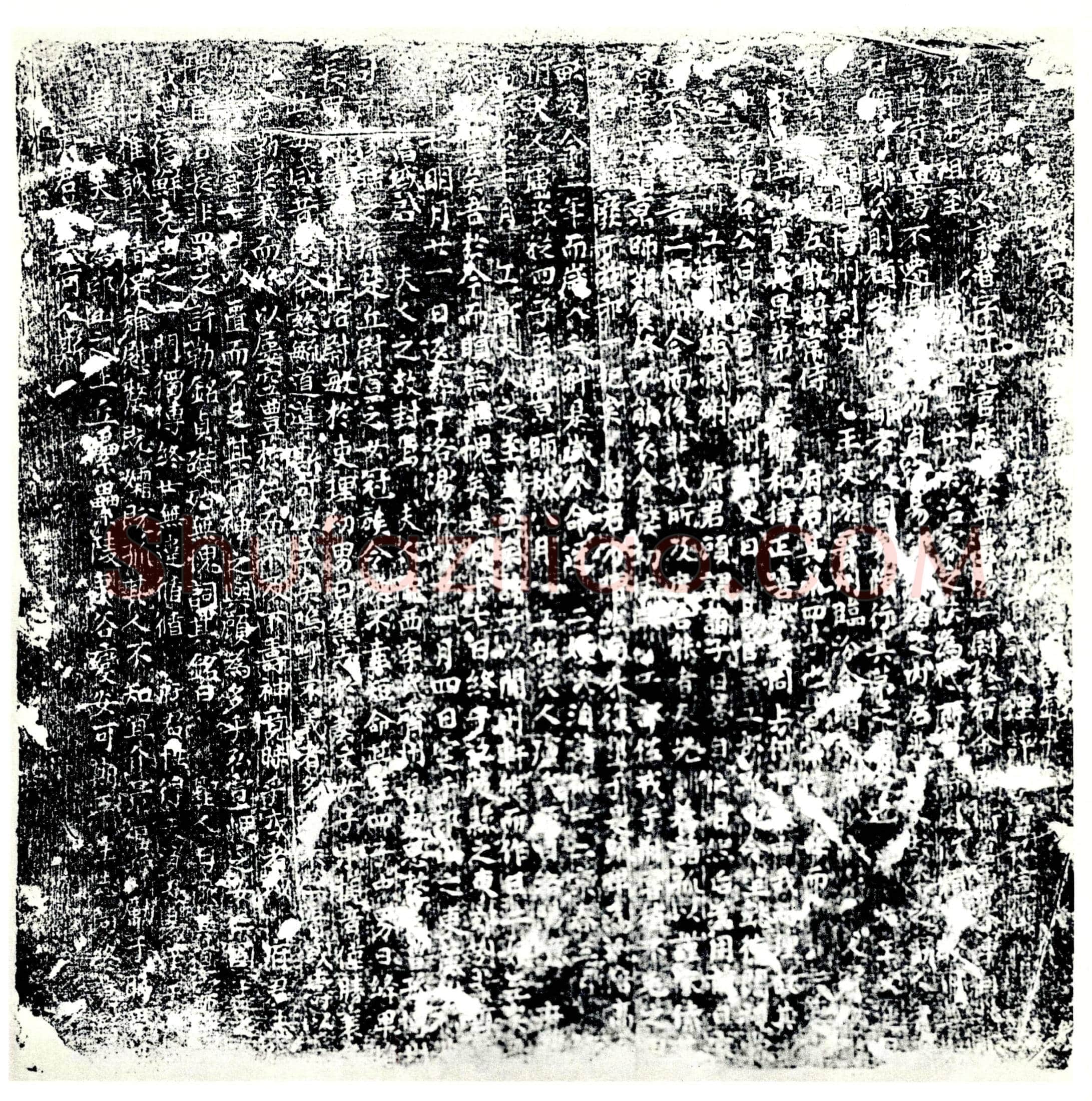 唐郑鲁墓誌