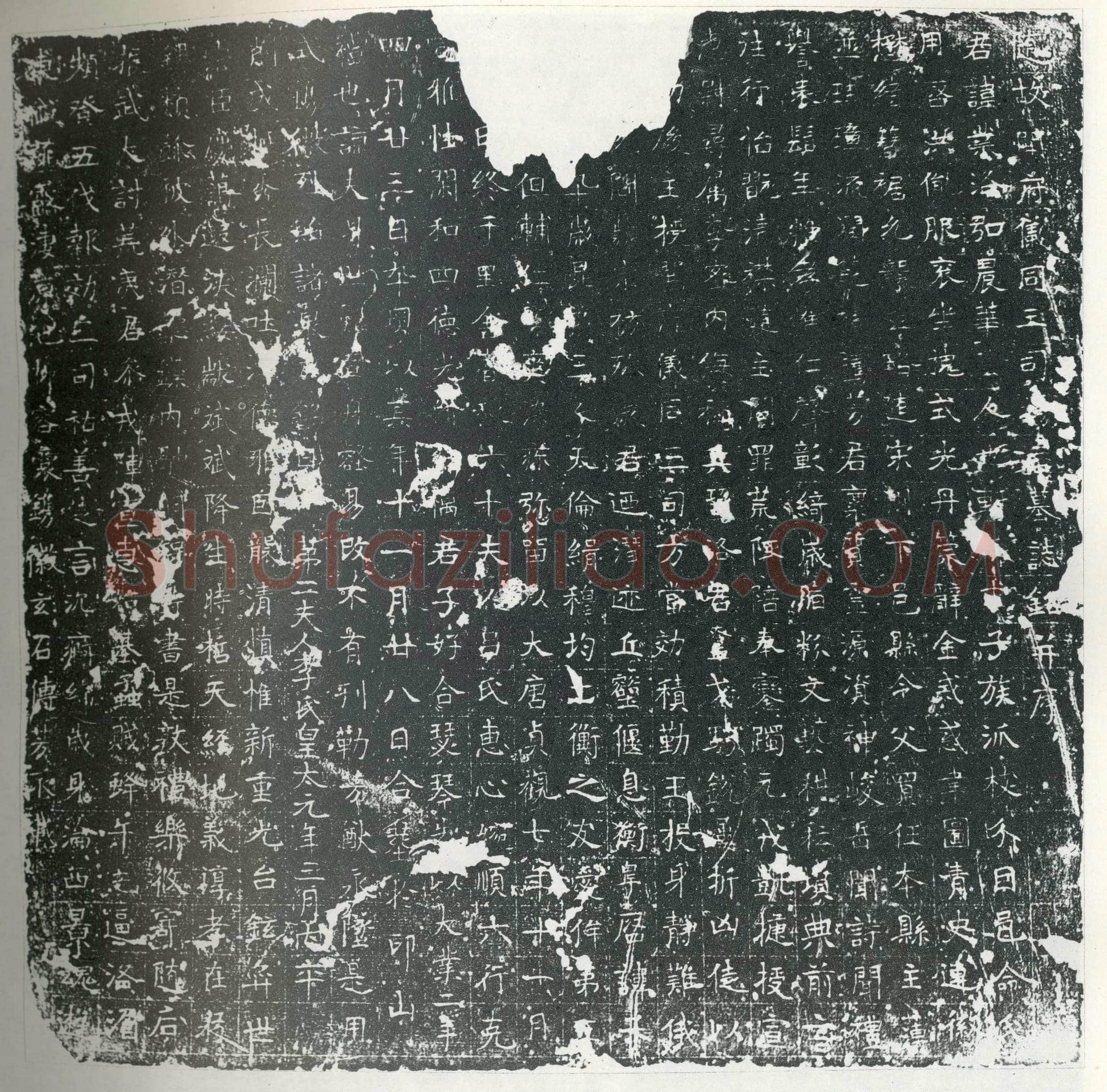 唐 杨业洛 墓誌