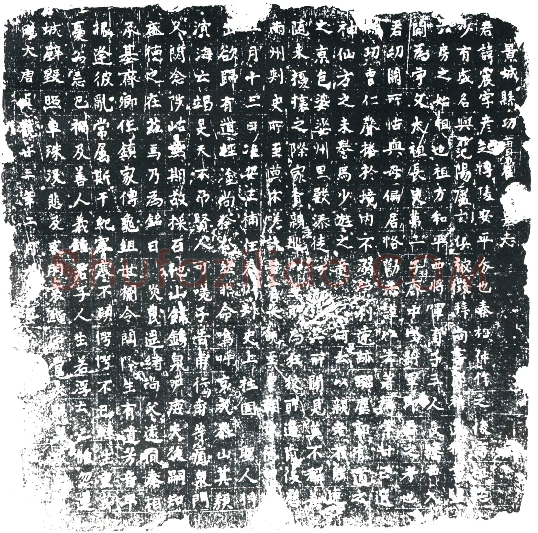 唐 崔震 墓誌