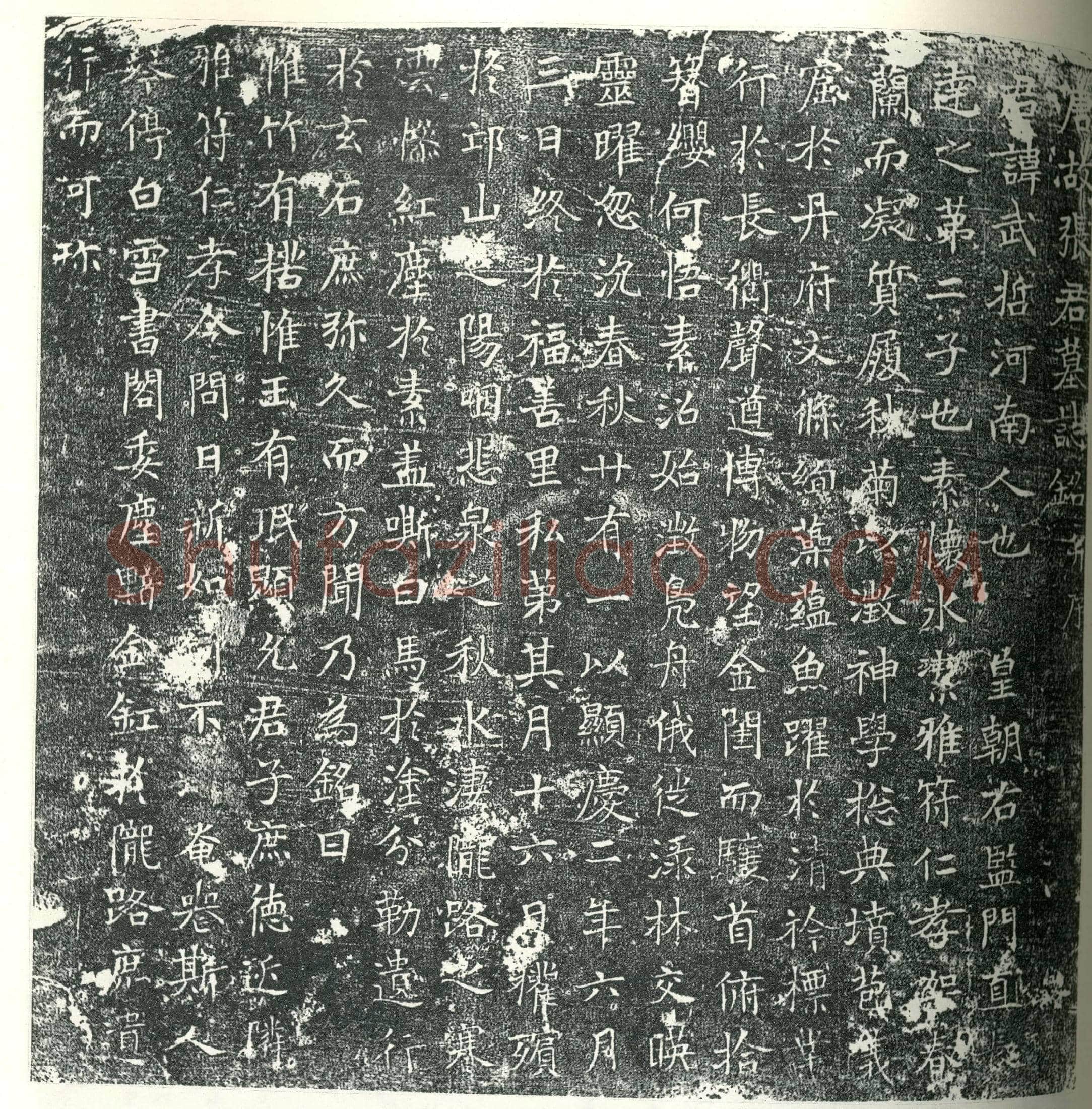 唐 张武哲 墓誌