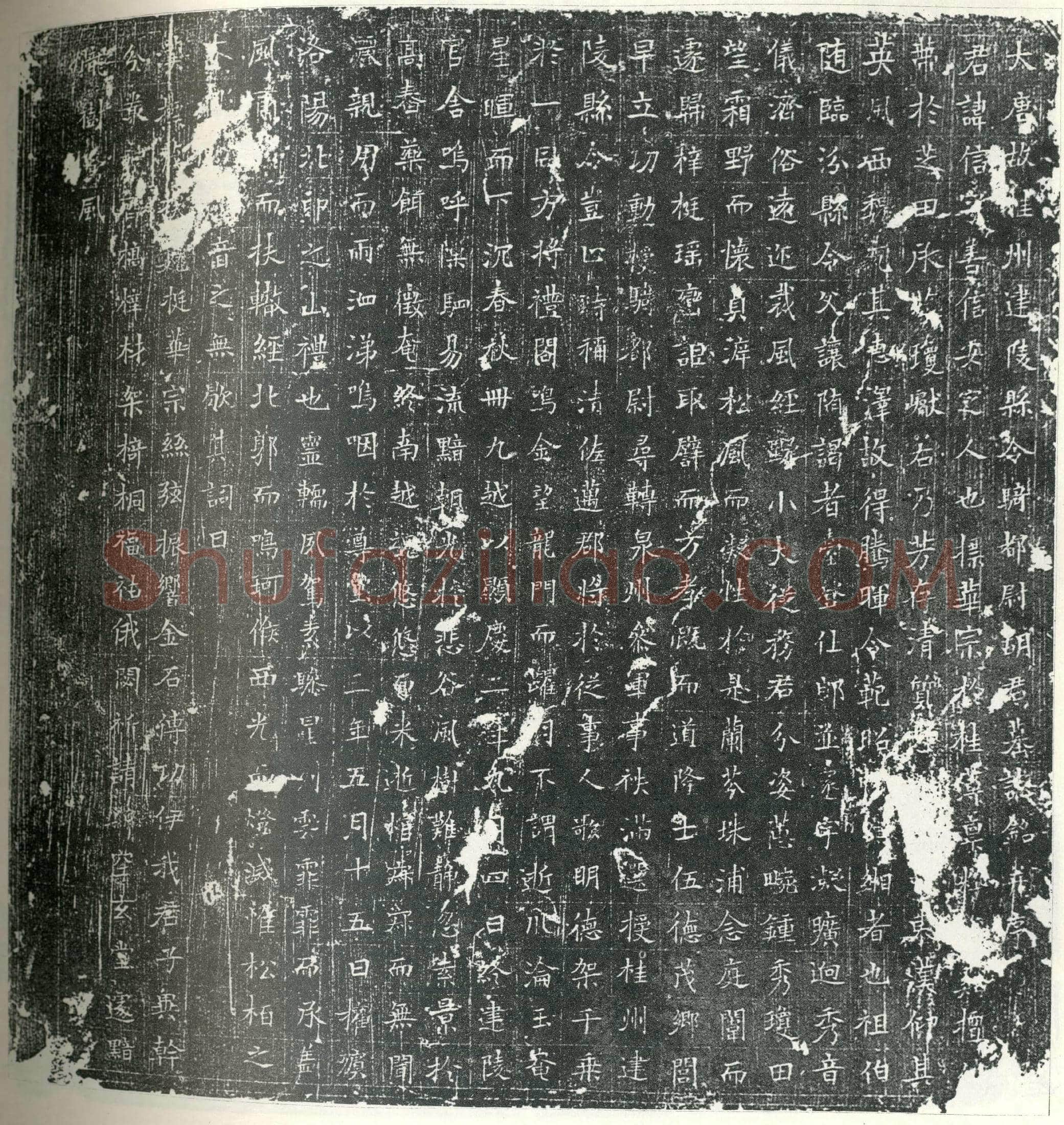 唐 胡信 墓誌