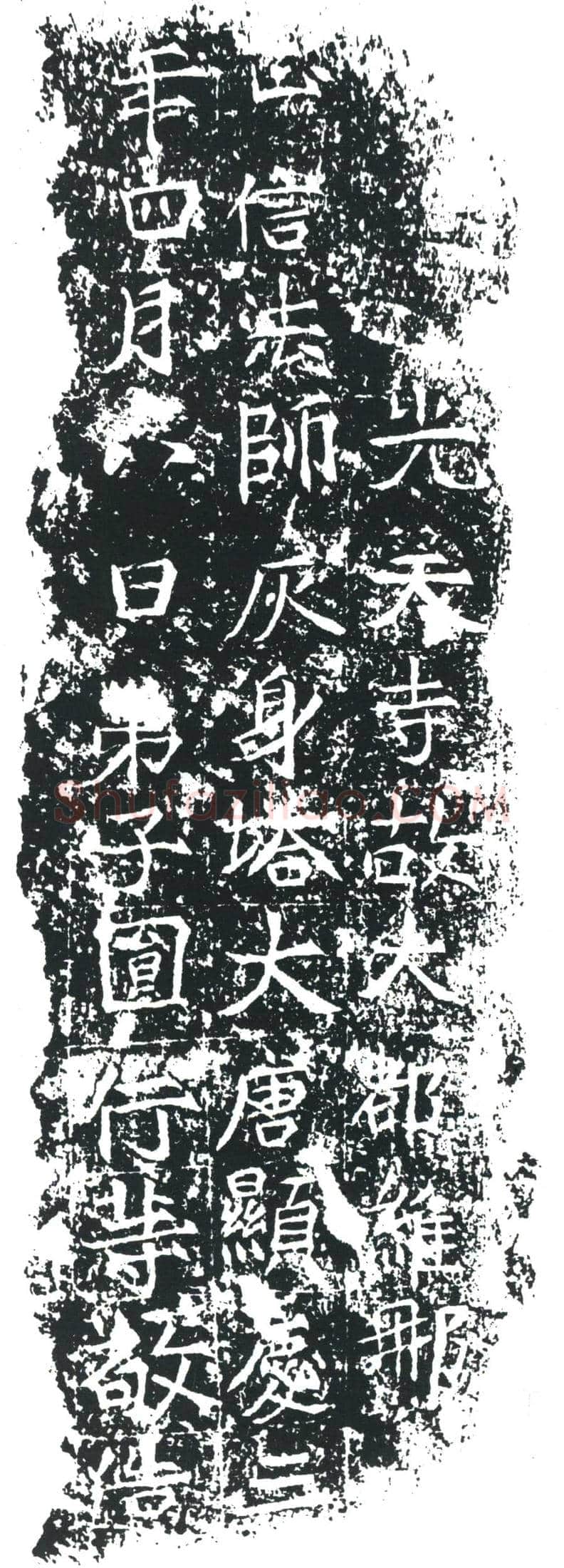 唐 正信法师 墓誌