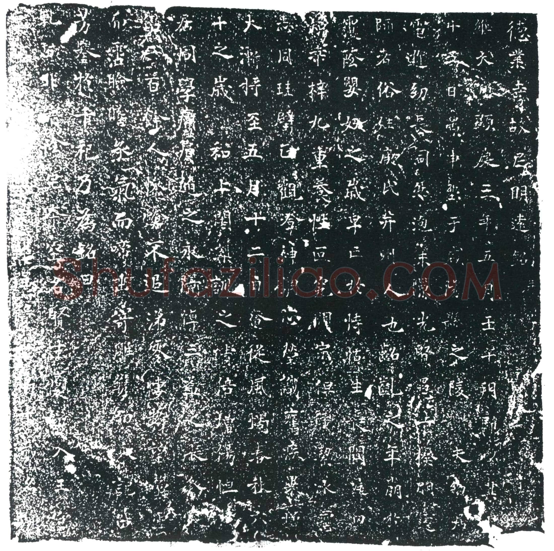 唐 尼明远 墓誌