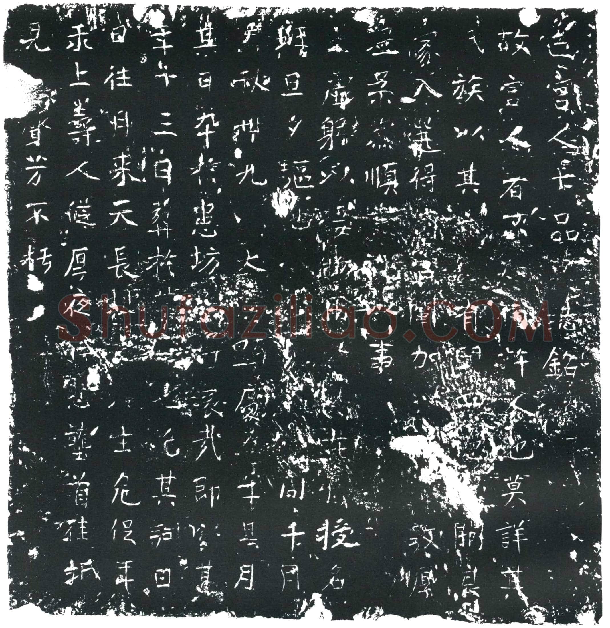 唐七品宫人墓誌