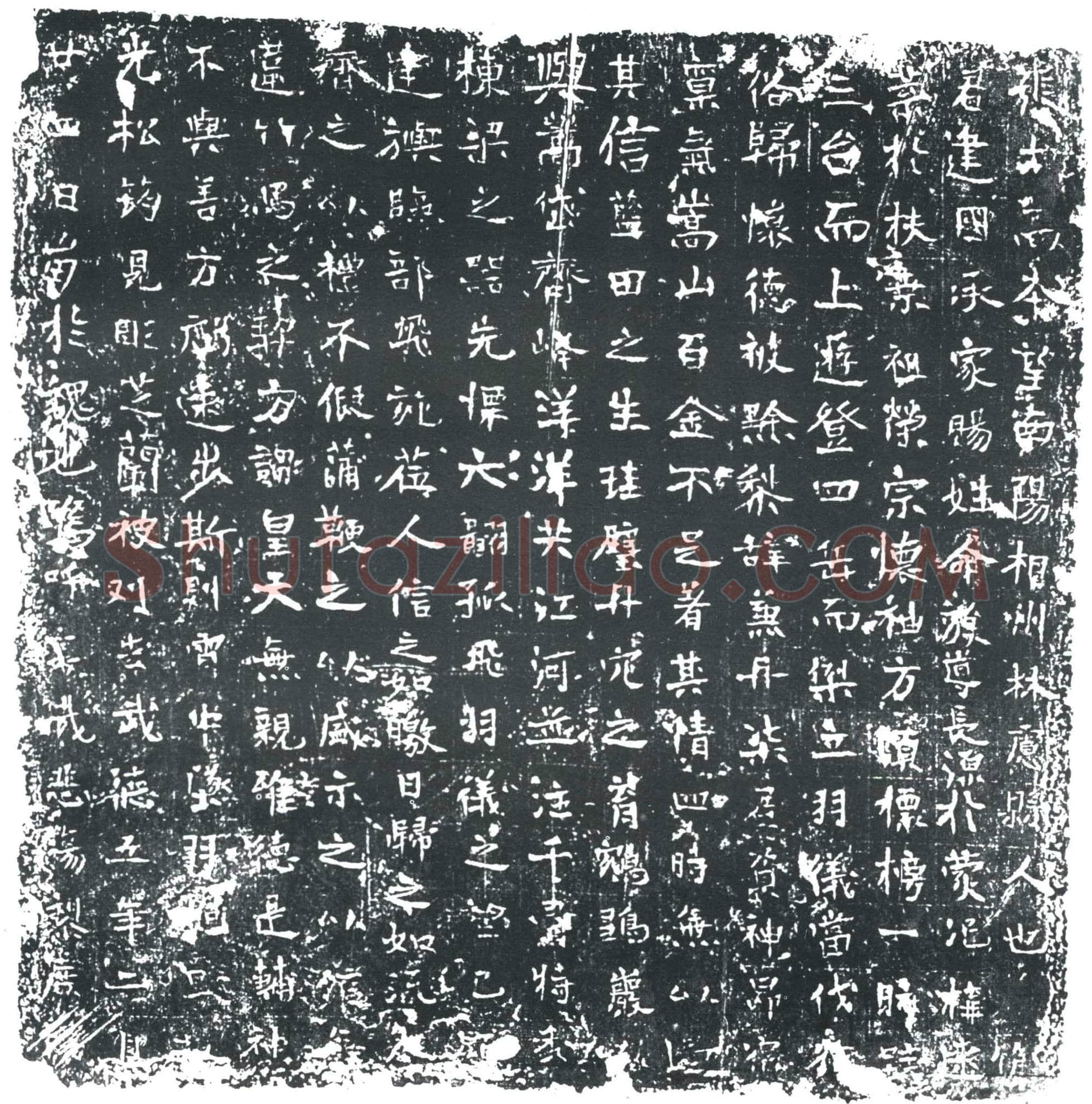 唐 张士高 墓誌