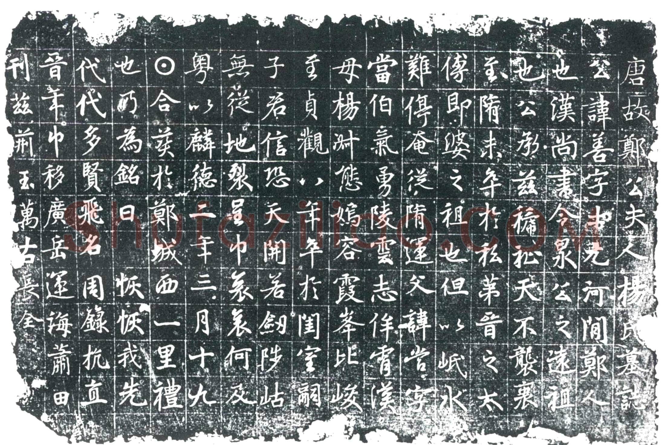 唐 郑善夫人杨氏 墓誌